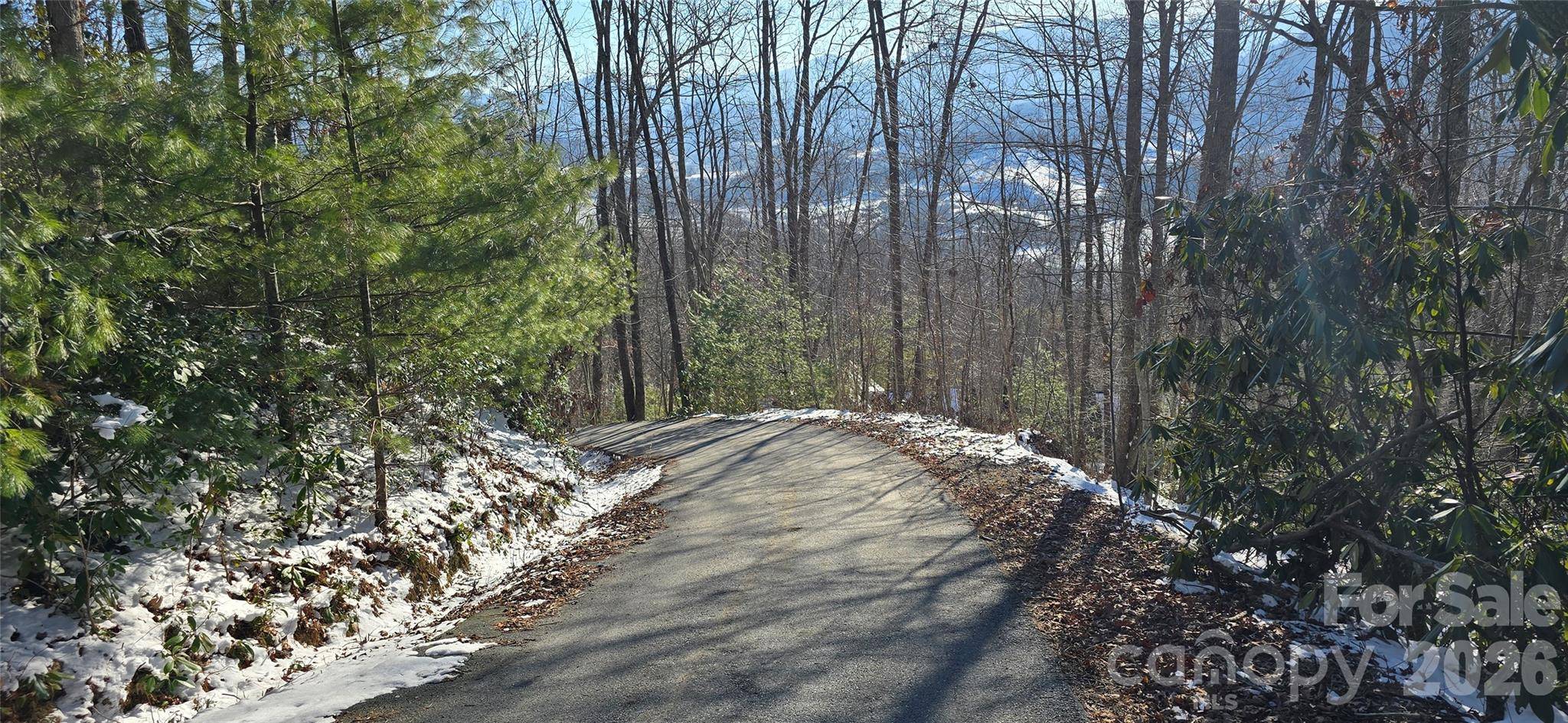 Lot 11 Bernies TRL, Waynesville, NC 28785