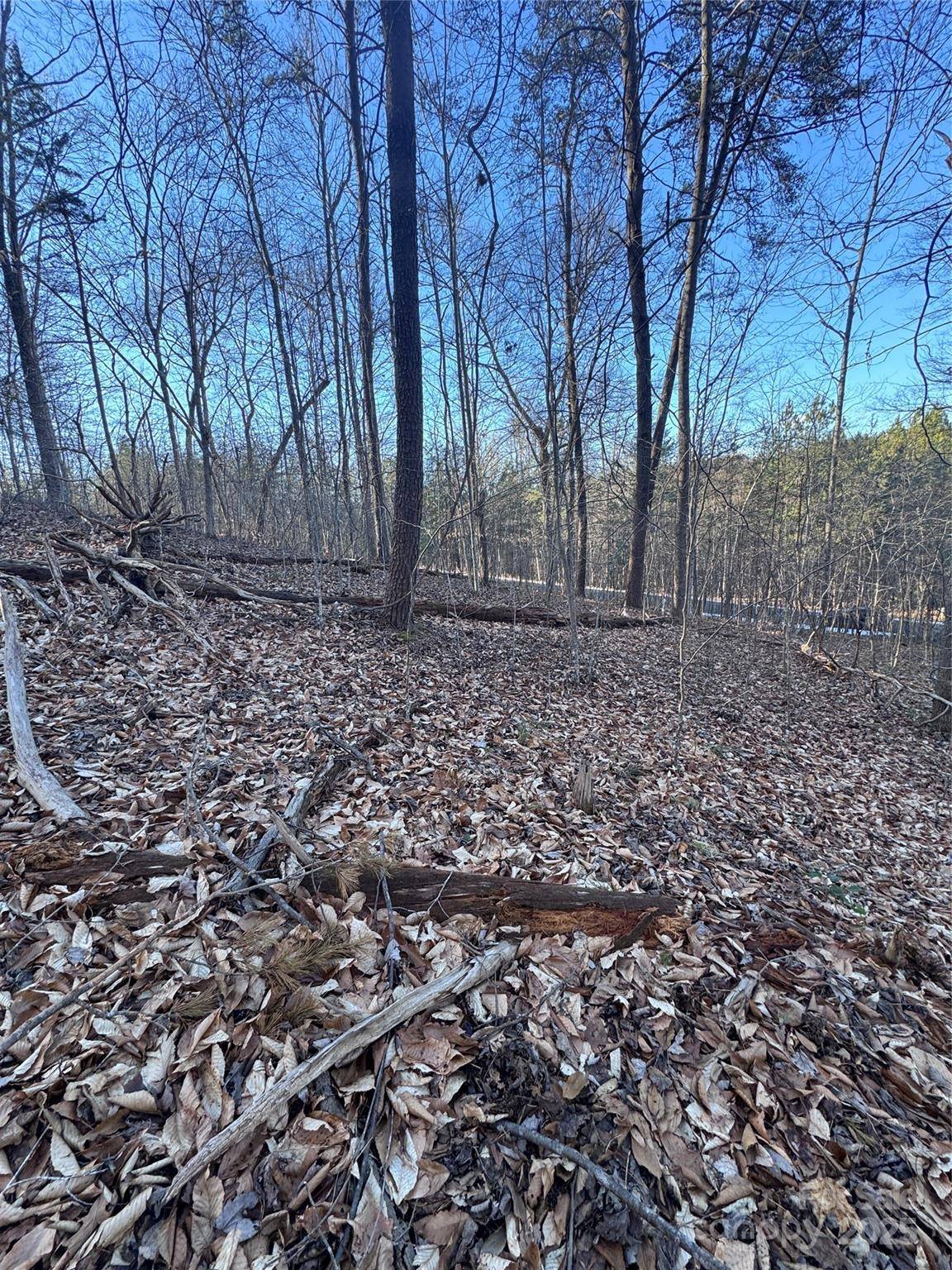 0 Creekside CIR #126, Rutherfordton, NC 28139