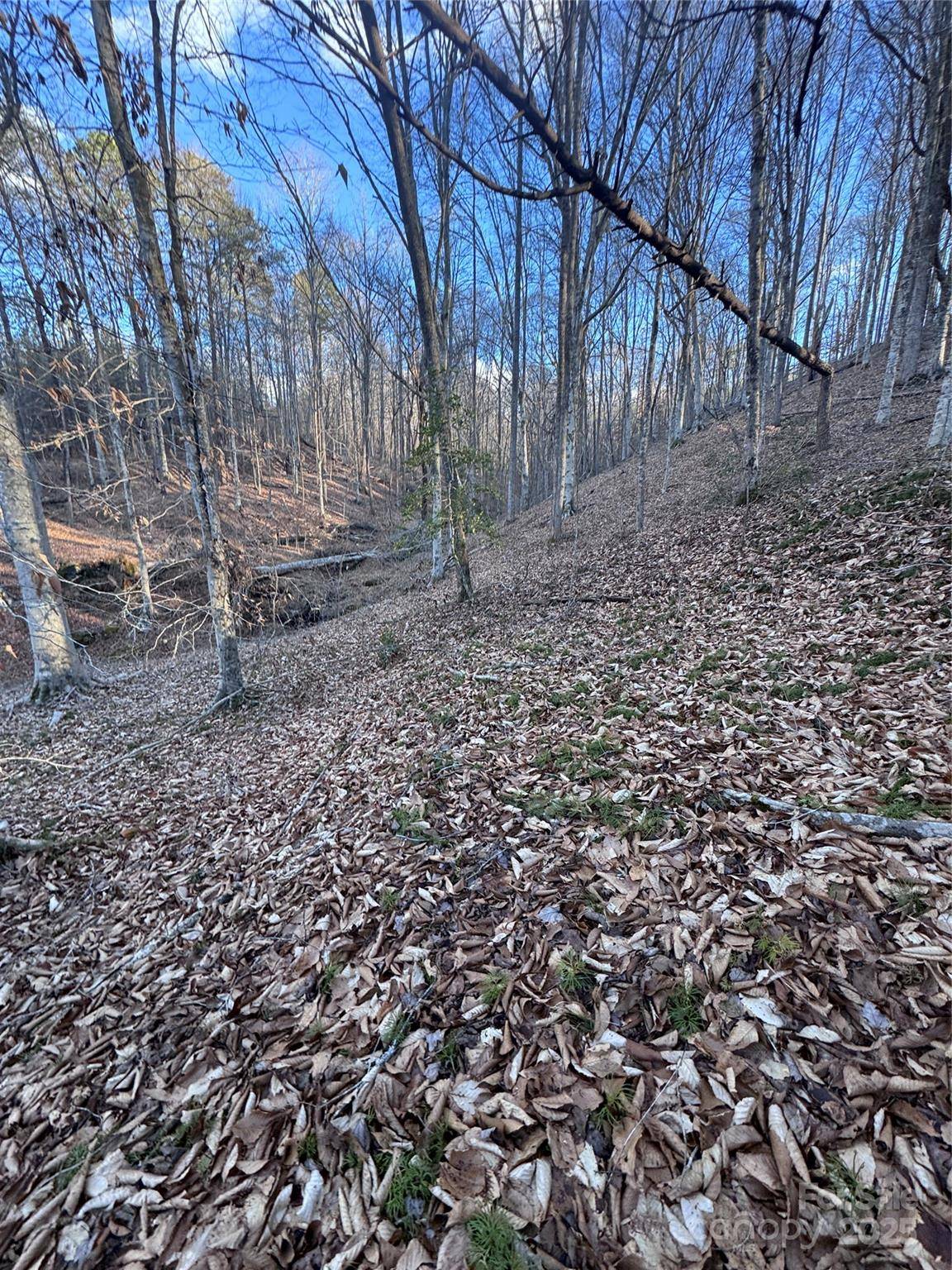 0 Creekside CIR #126, Rutherfordton, NC 28139