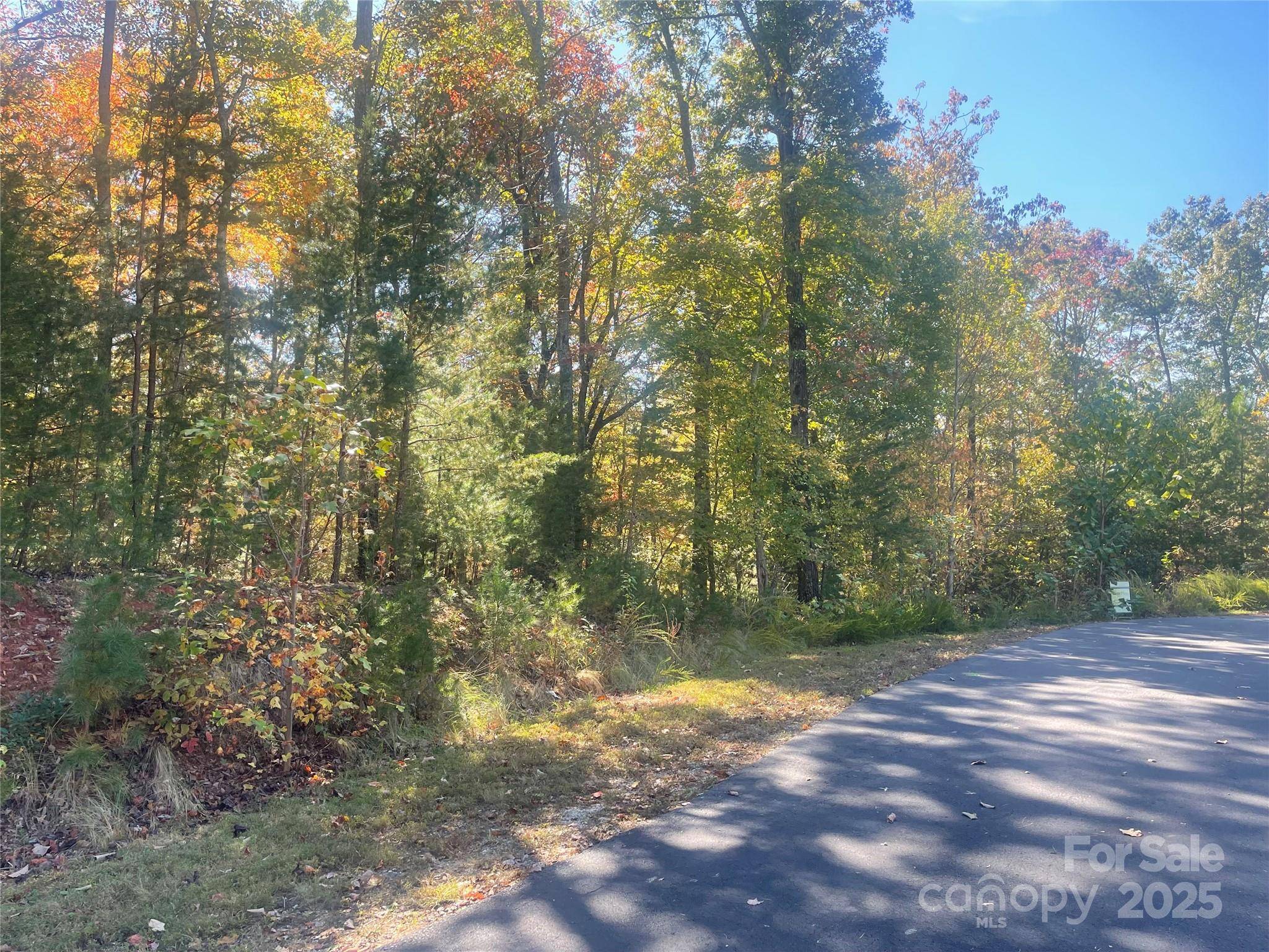 lot 46 Bald Eagle LN #46, Marion, NC 28752