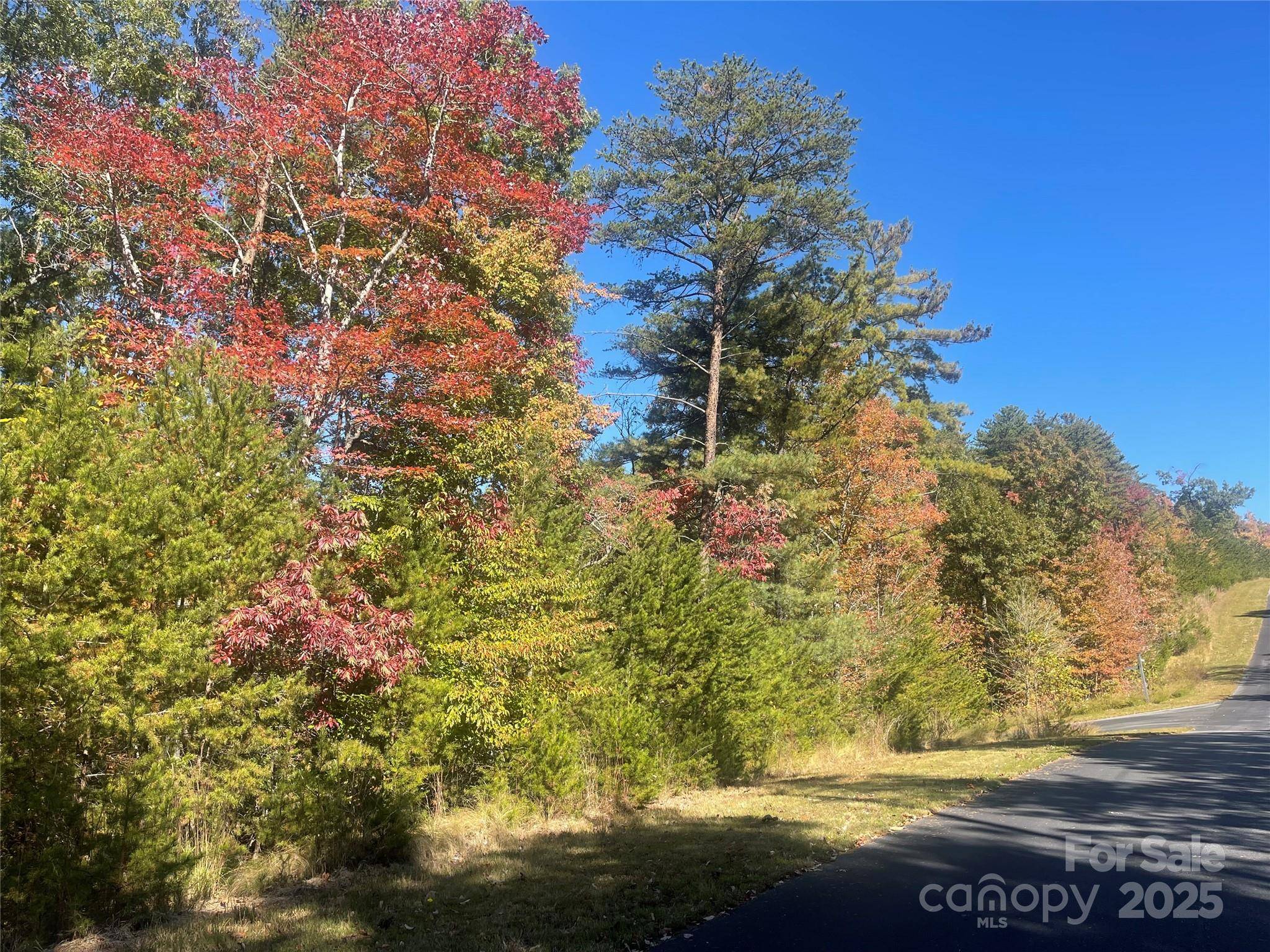 lot 46 Bald Eagle LN #46, Marion, NC 28752