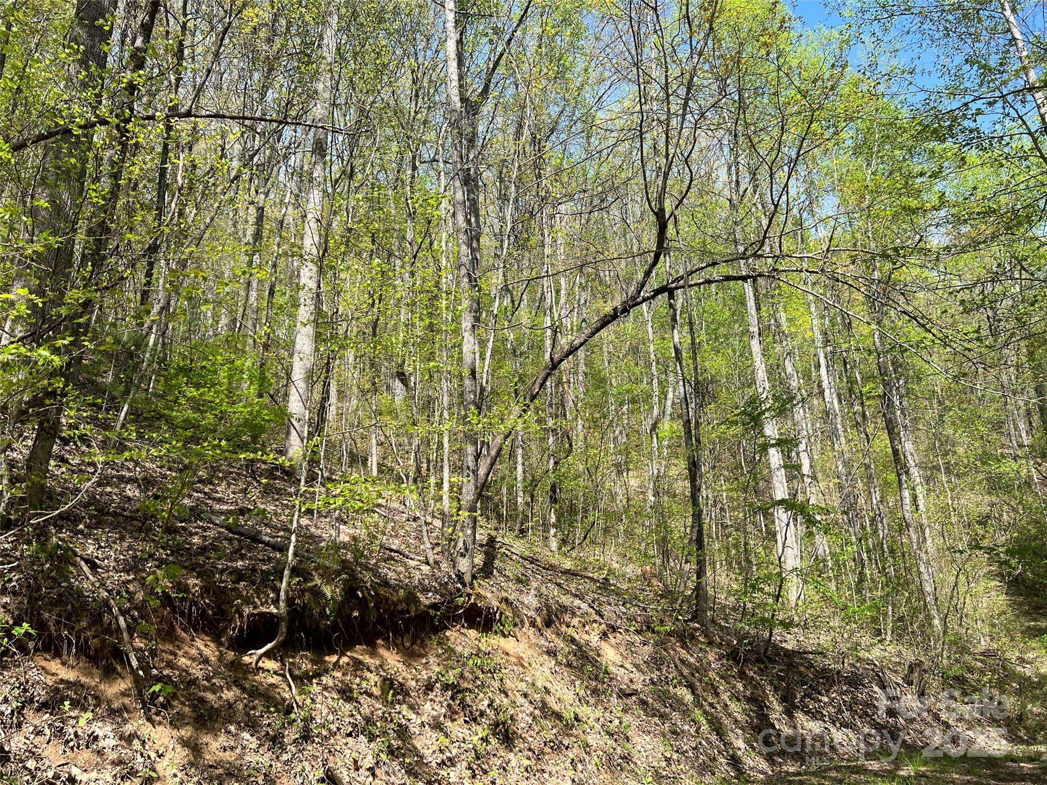 00 Hidden TRL, Franklin, NC 28734