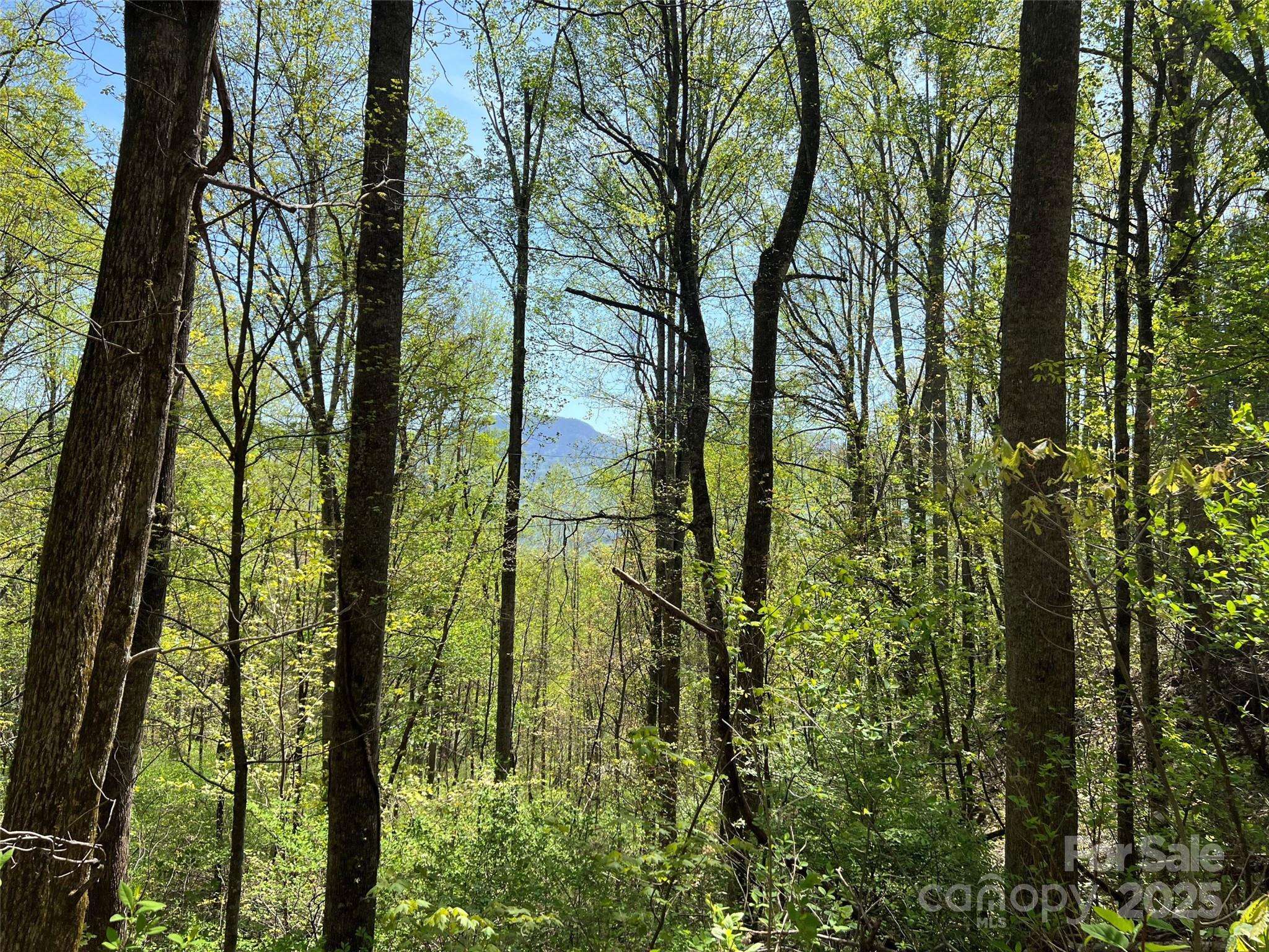 00 Hidden TRL, Franklin, NC 28734