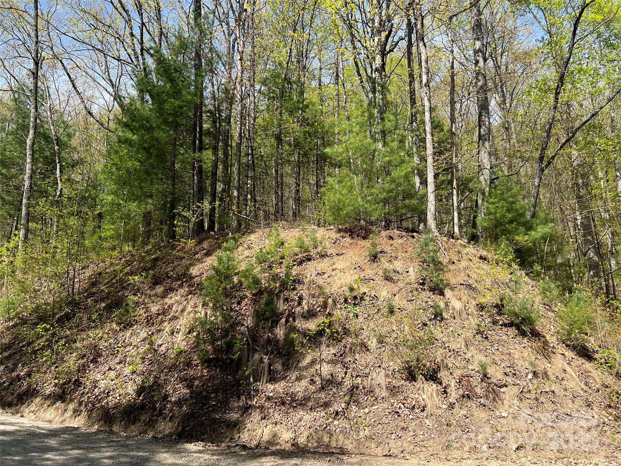 00 Hidden TRL, Franklin, NC 28734
