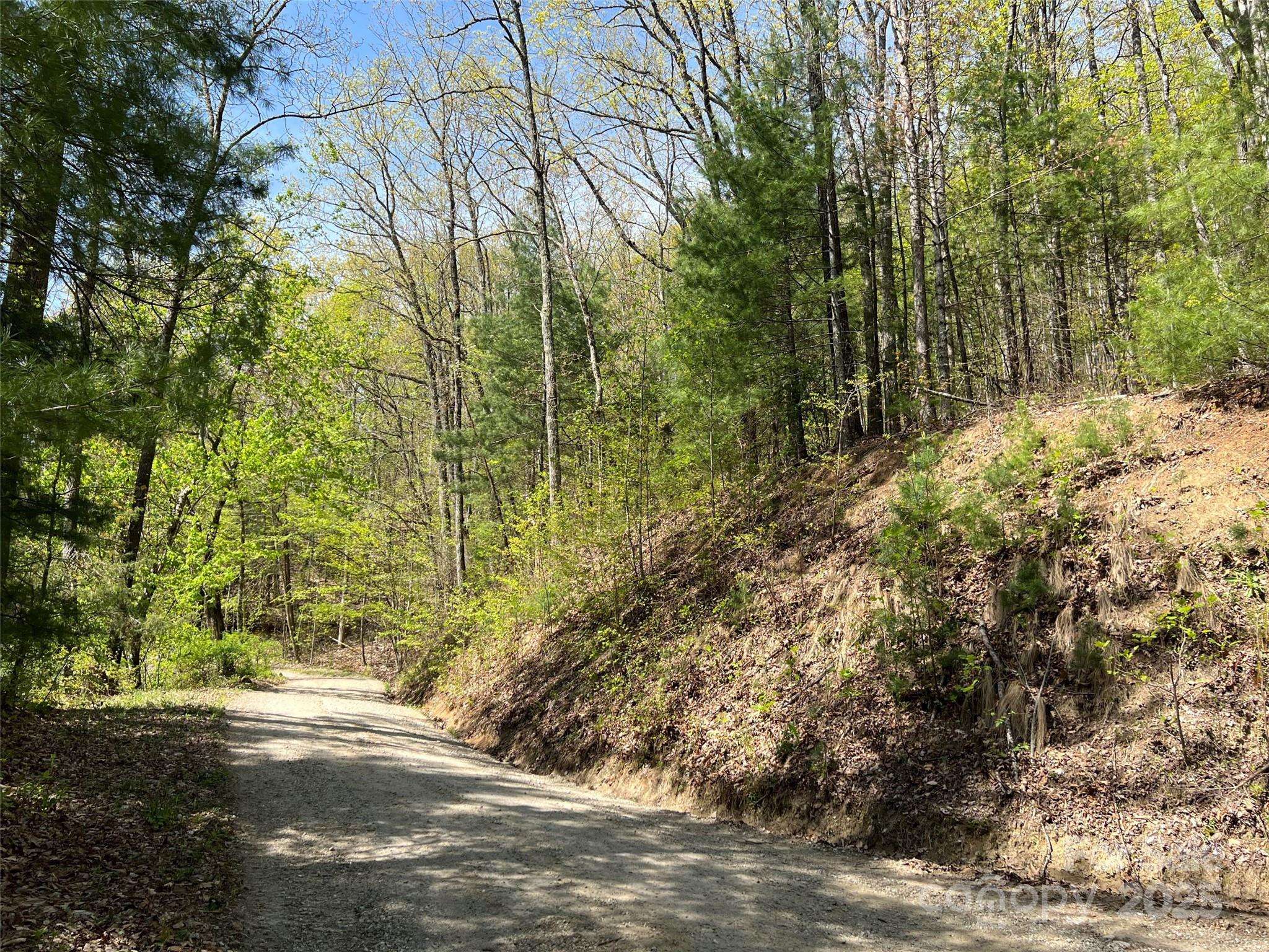 00 Hidden TRL, Franklin, NC 28734