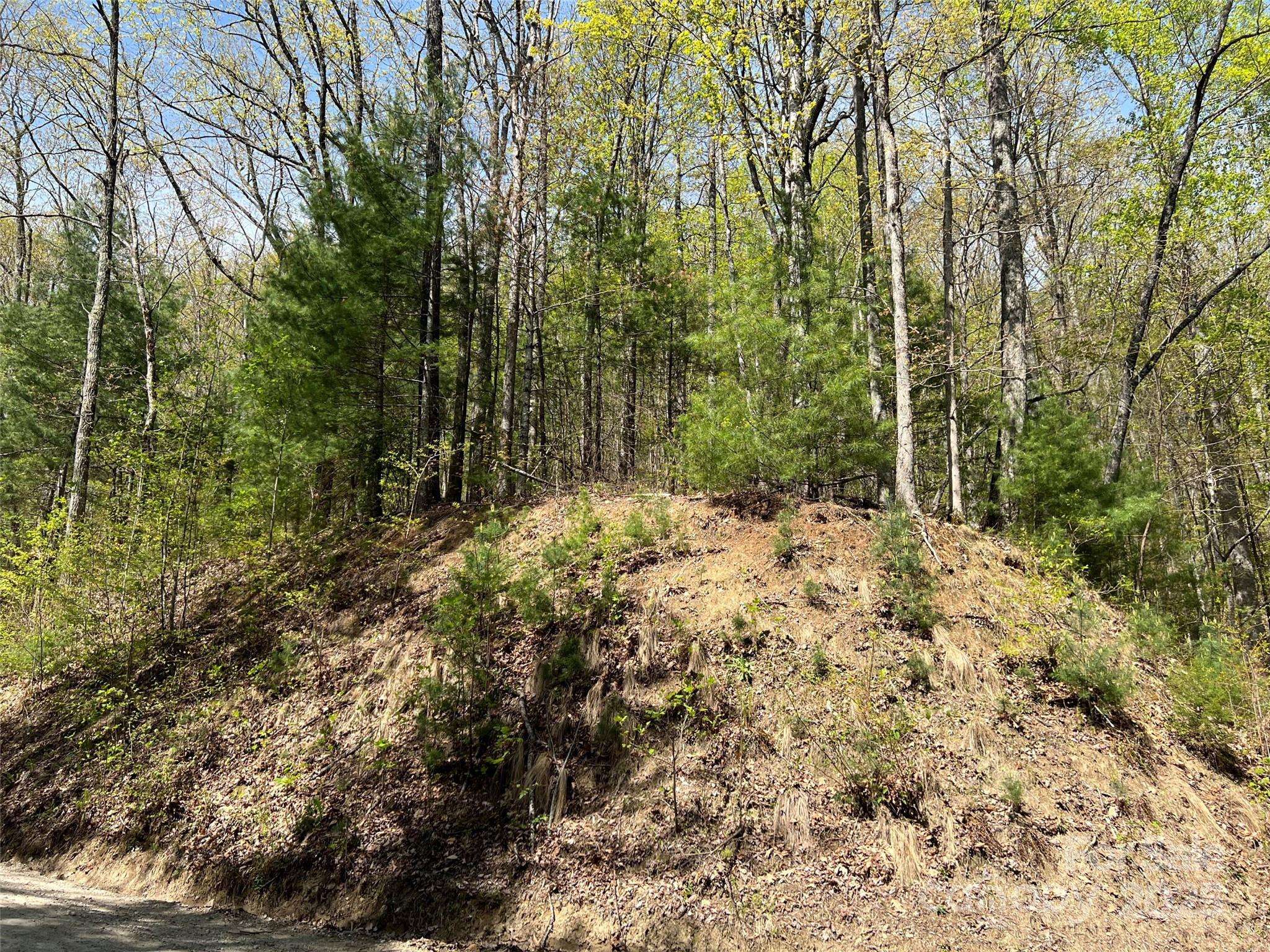 00 Hidden TRL, Franklin, NC 28734