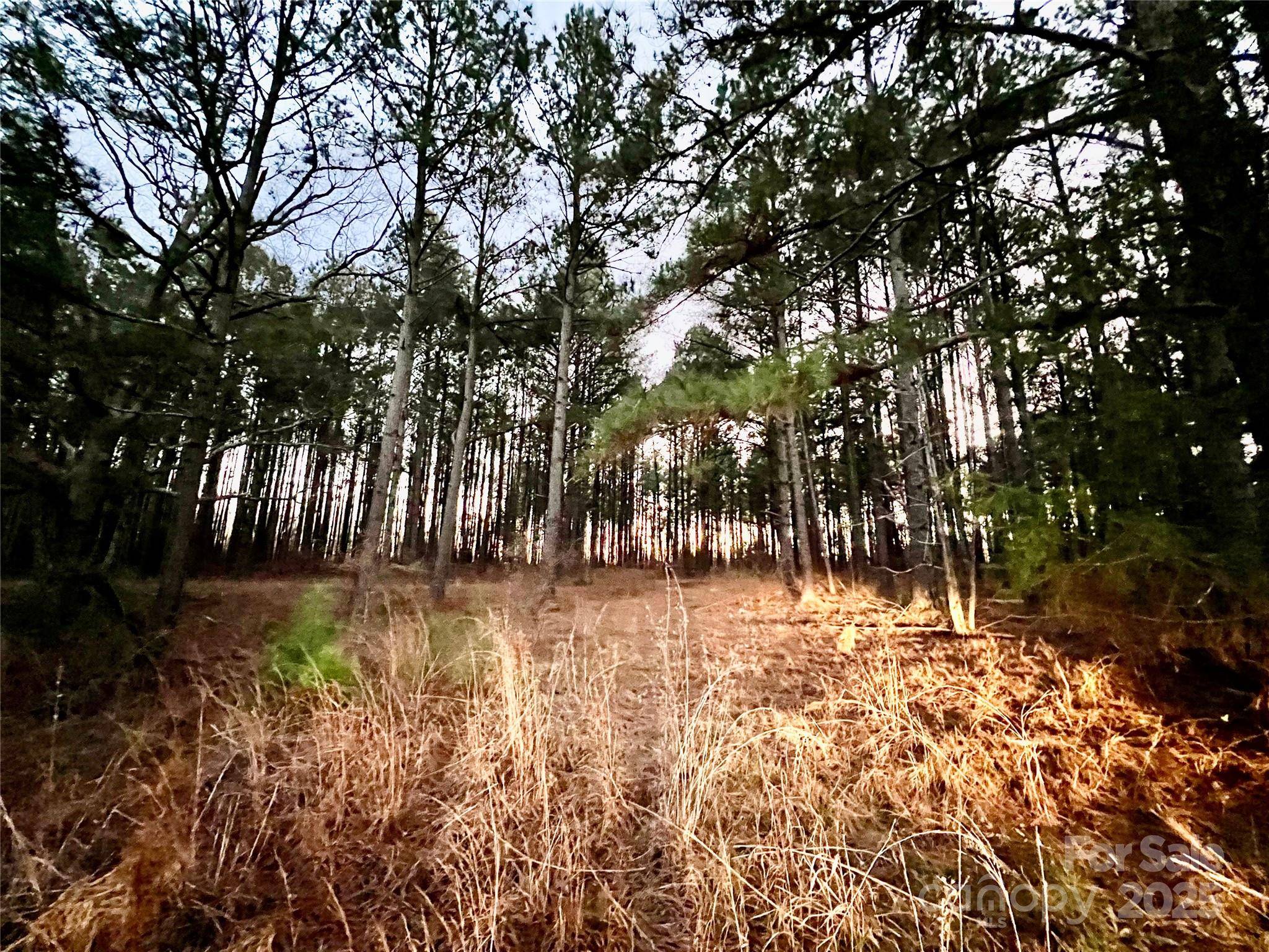 TBD Wateree RD, Great Falls, SC 29055