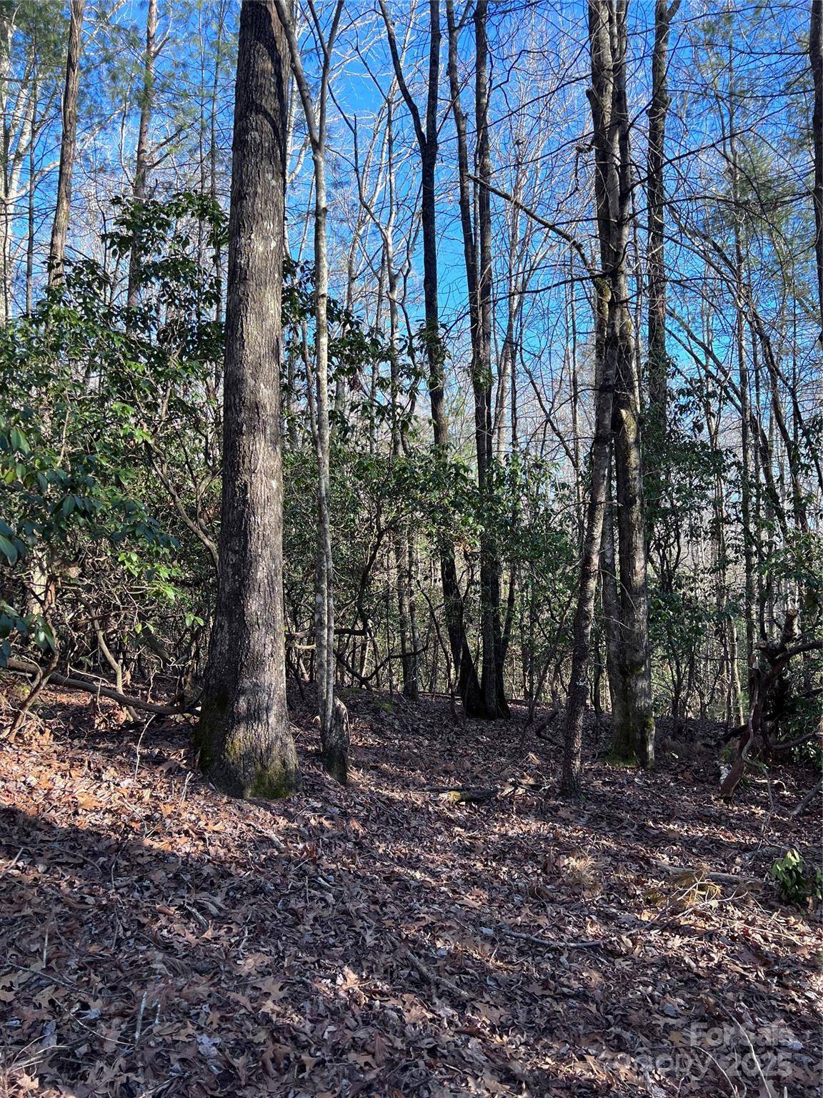 L26 Konnaneeta TRL #U03 L026, Brevard, NC 28712