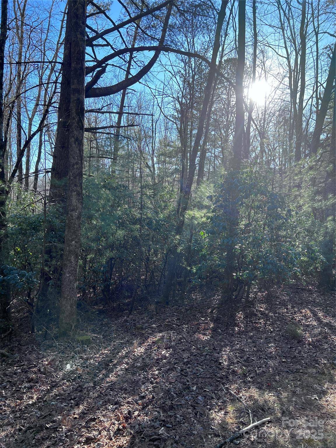 L26 Konnaneeta TRL #U03 L026, Brevard, NC 28712