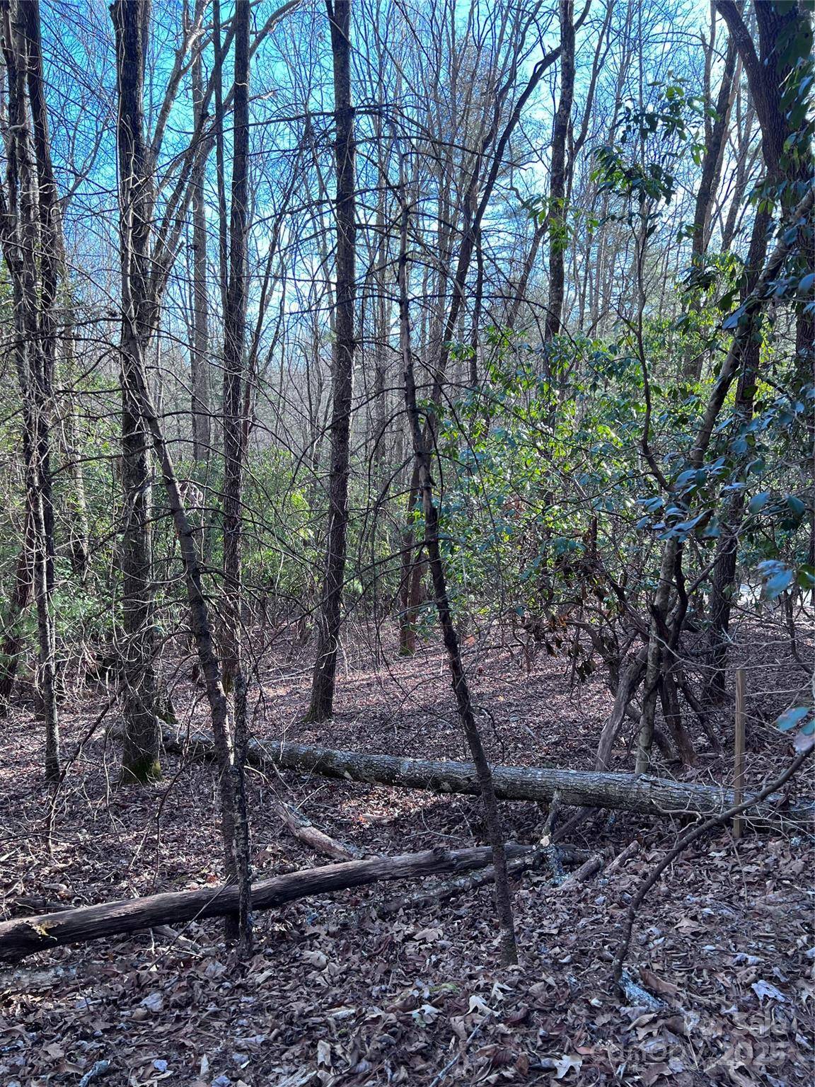 L26 Konnaneeta TRL #U03 L026, Brevard, NC 28712