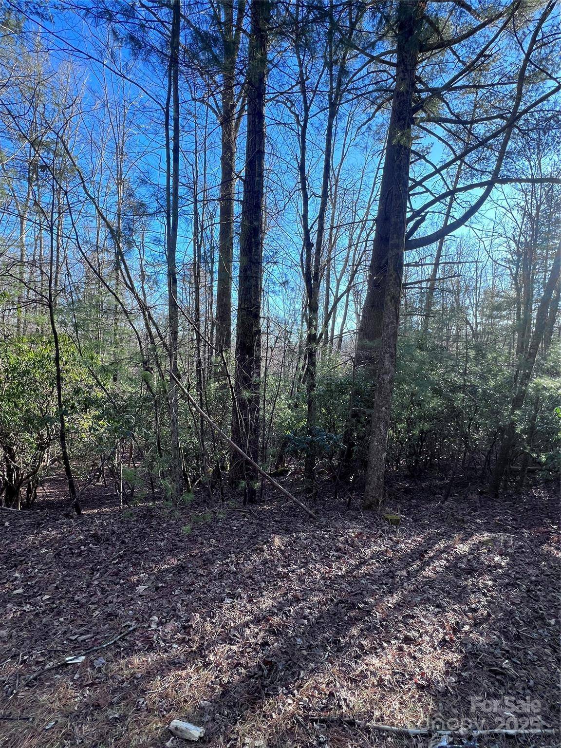 L26 Konnaneeta TRL #U03 L026, Brevard, NC 28712