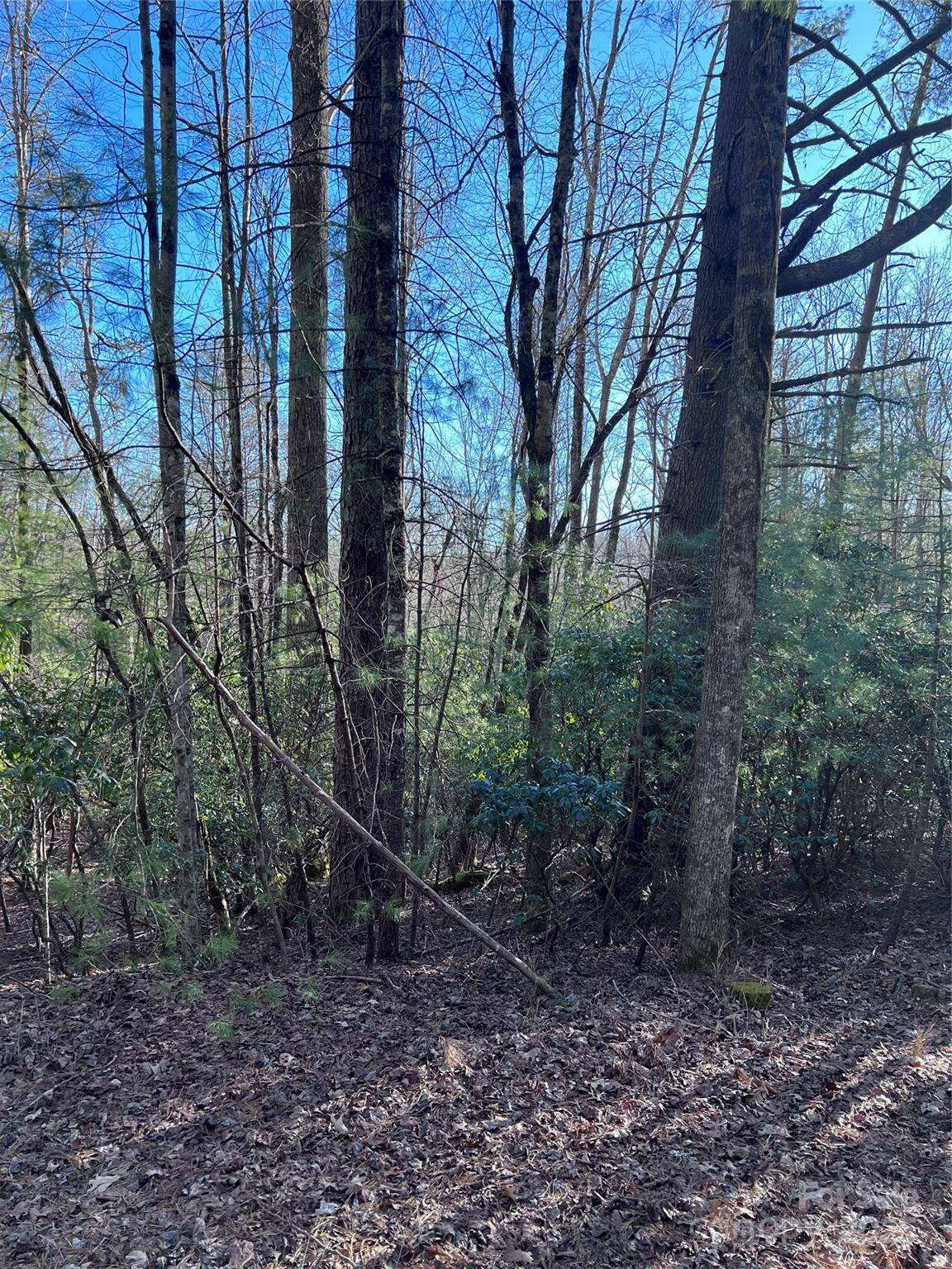 L26 Konnaneeta TRL #U03 L026, Brevard, NC 28712