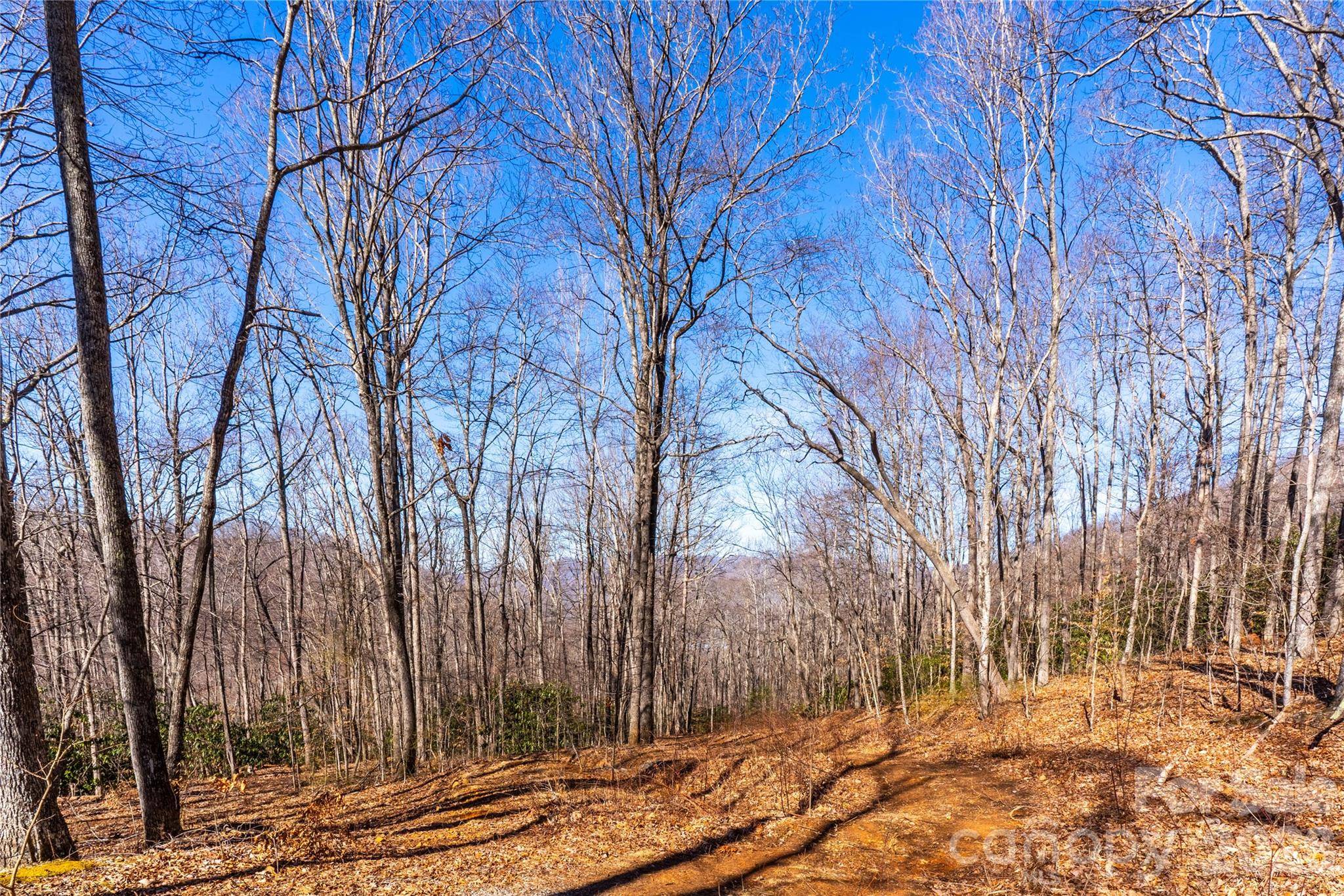 1248 Arborcrest WAY #46, Swannanoa, NC 28778