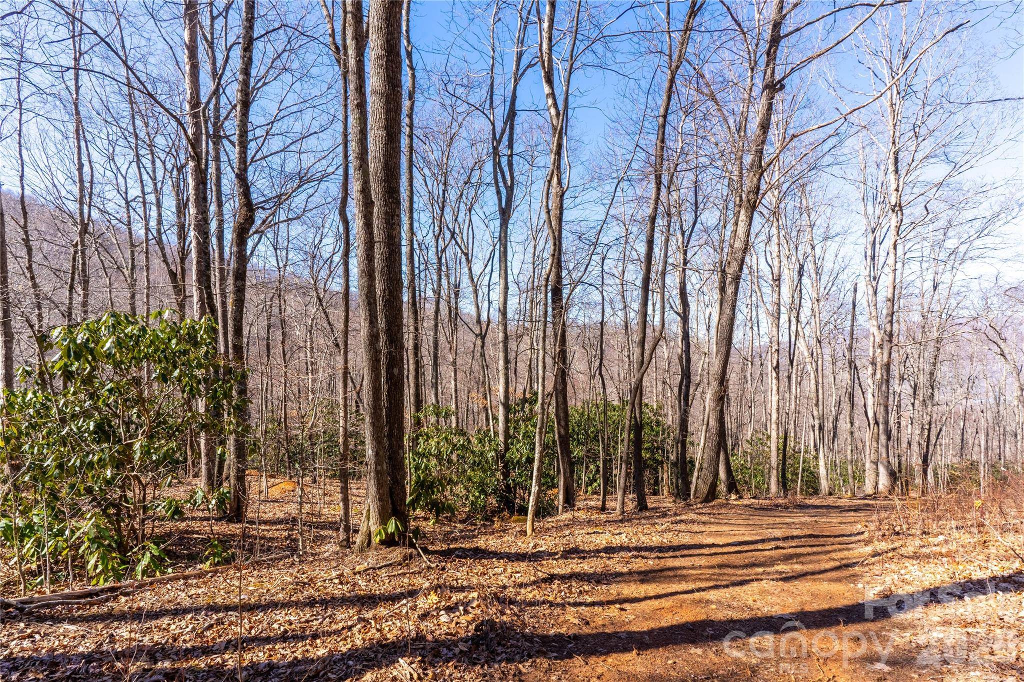 1248 Arborcrest WAY #46, Swannanoa, NC 28778