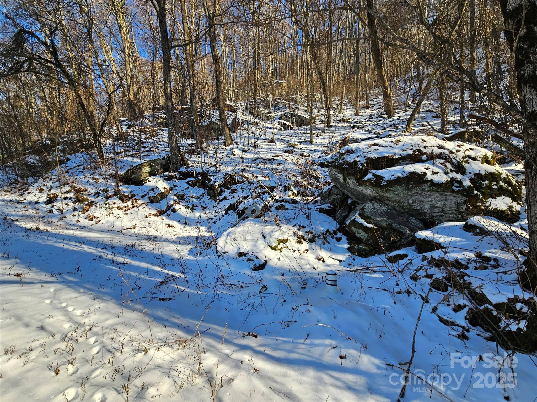 00 Marney's Vista RD, Waynesville, NC 28786