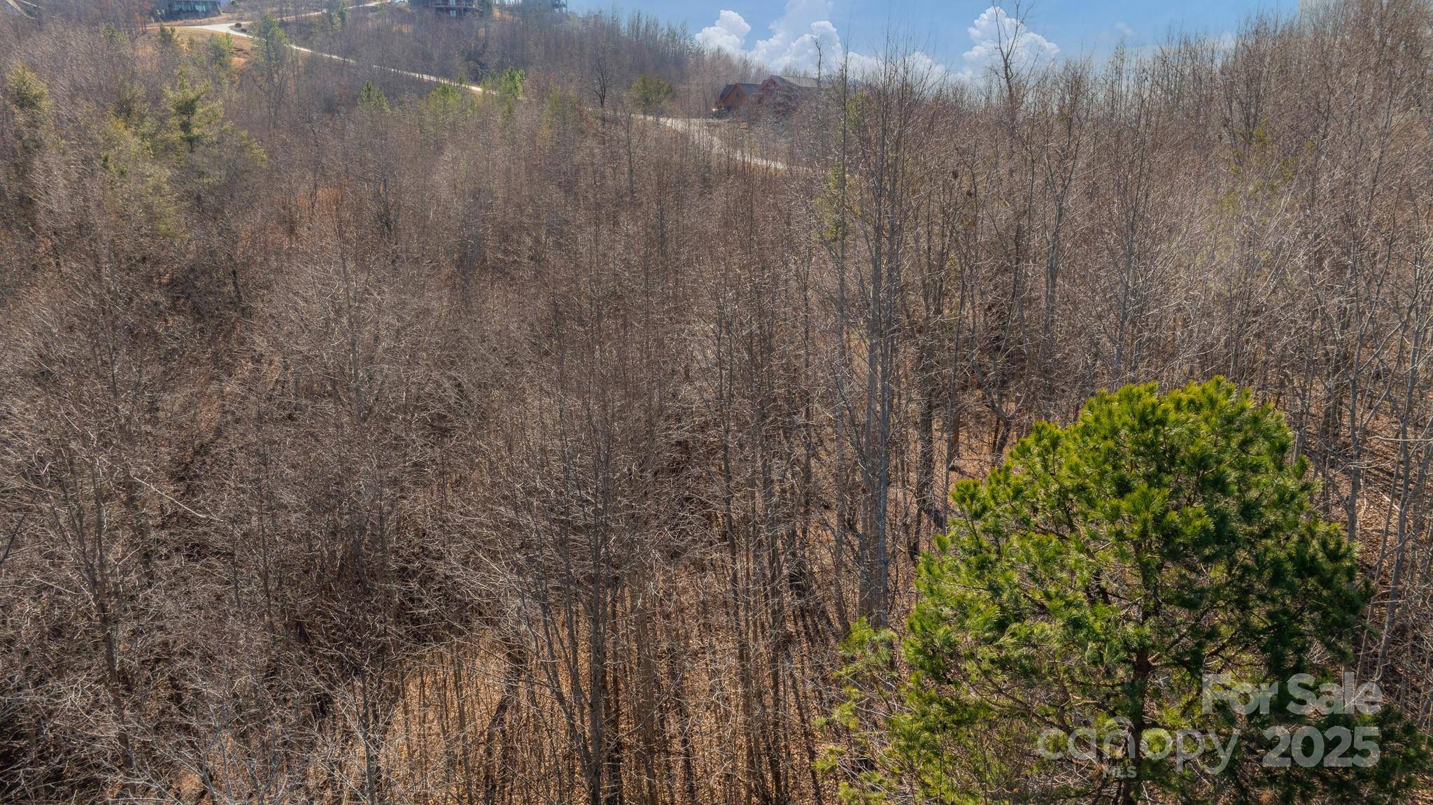 TBD Coal Pit Mountain RD, Nebo, NC 28761