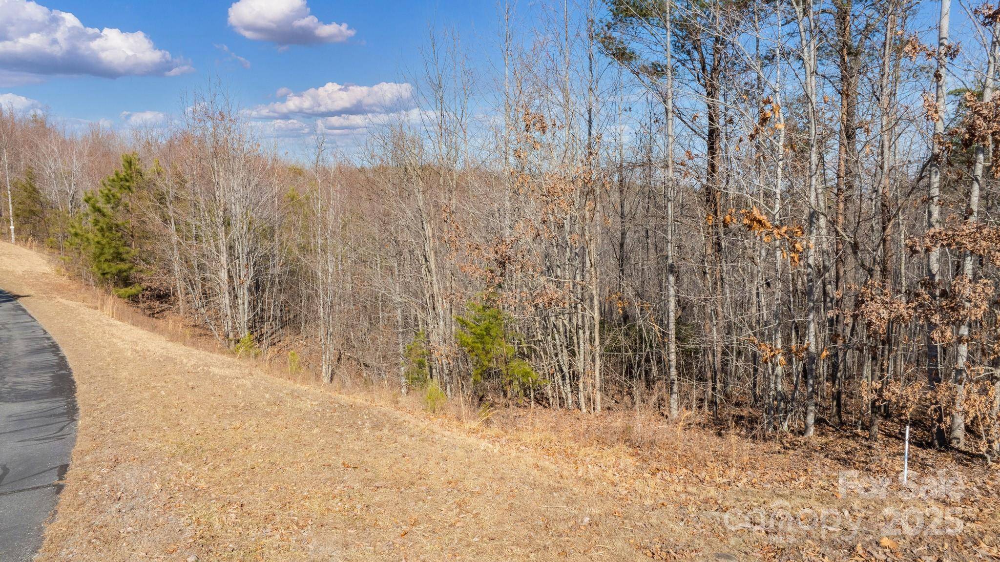 TBD Coal Pit Mountain RD, Nebo, NC 28761