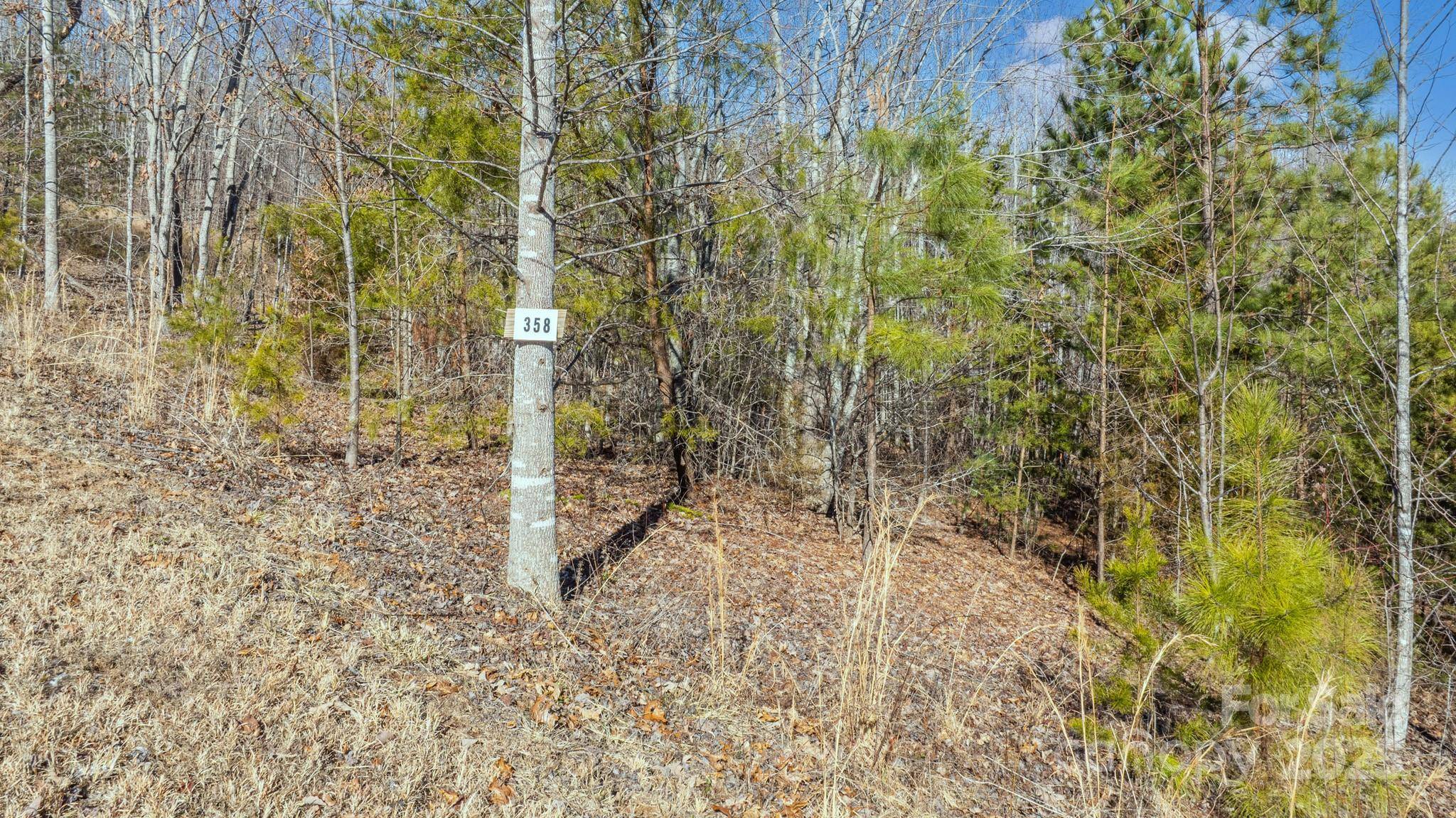 TBD Coal Pit Mountain RD, Nebo, NC 28761