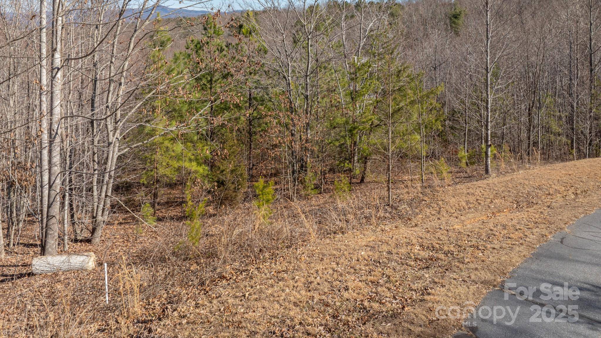 TBD Coal Pit Mountain RD, Nebo, NC 28761