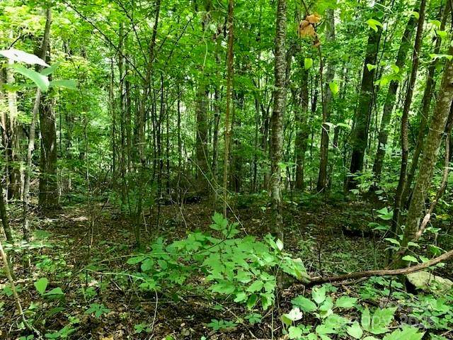 00 Red Oak LN N #Lot #24, Burnsville, NC 28714