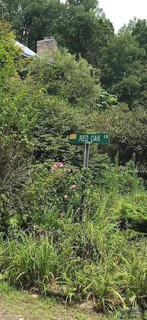 00 Red Oak LN N #Lot #24, Burnsville, NC 28714