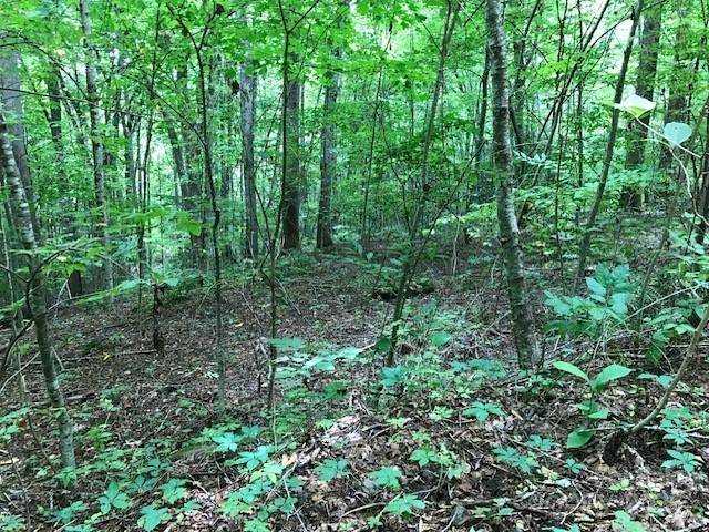 00 Red Oak LN N #Lot #24, Burnsville, NC 28714