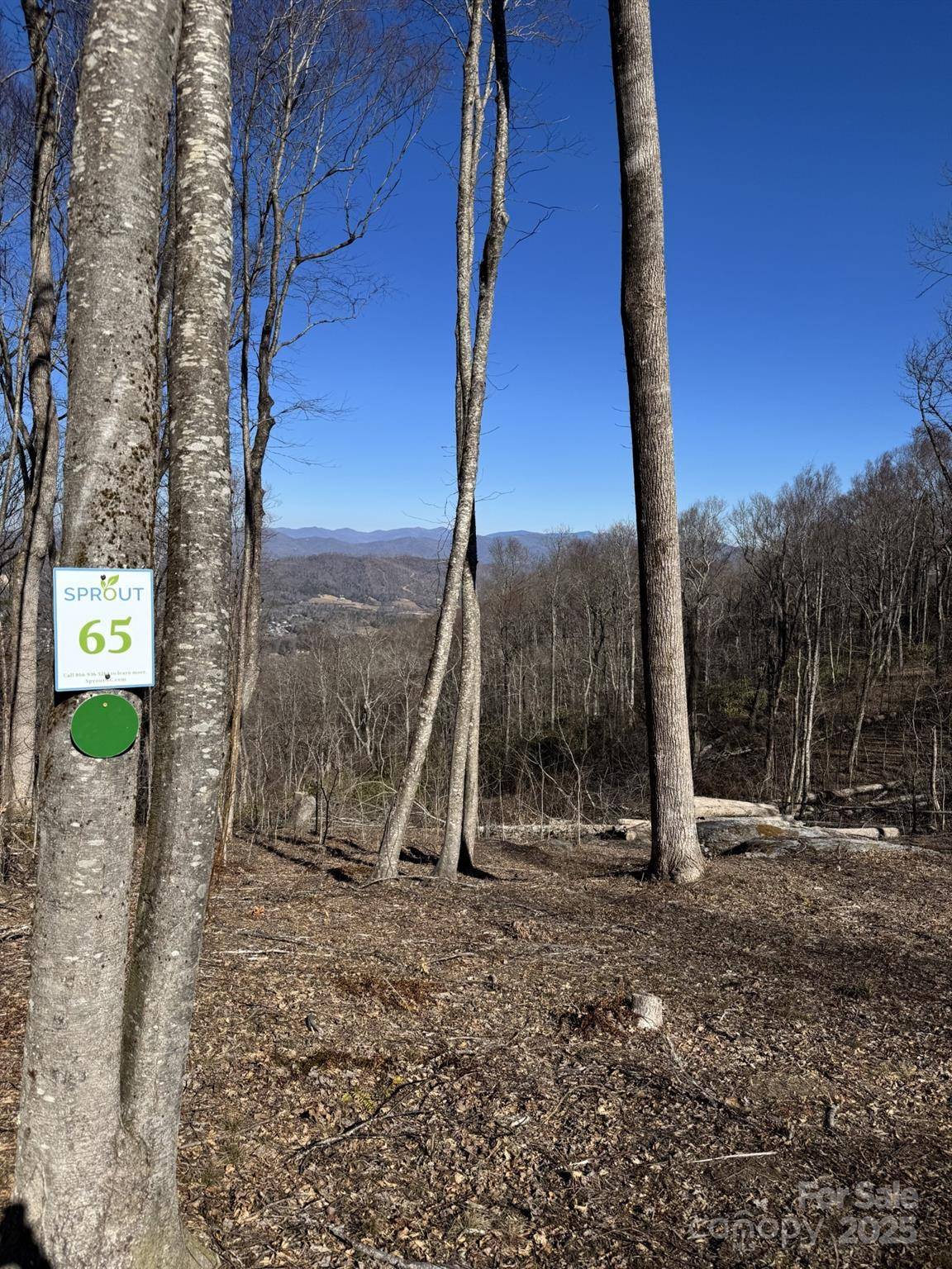 0000 West Garden TRL #Lot 65, Hendersonville, NC 28792