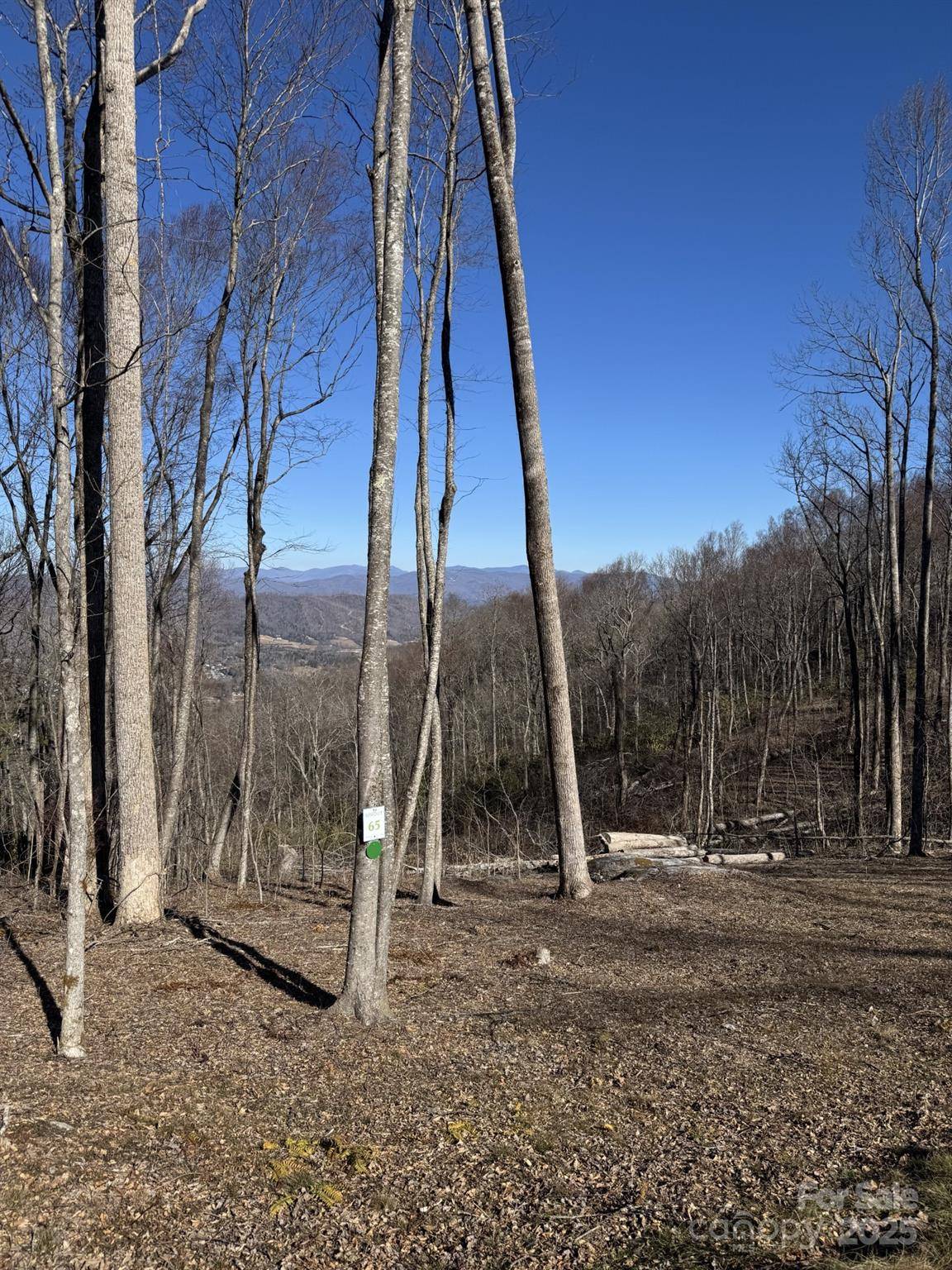 0000 West Garden TRL #Lot 65, Hendersonville, NC 28792