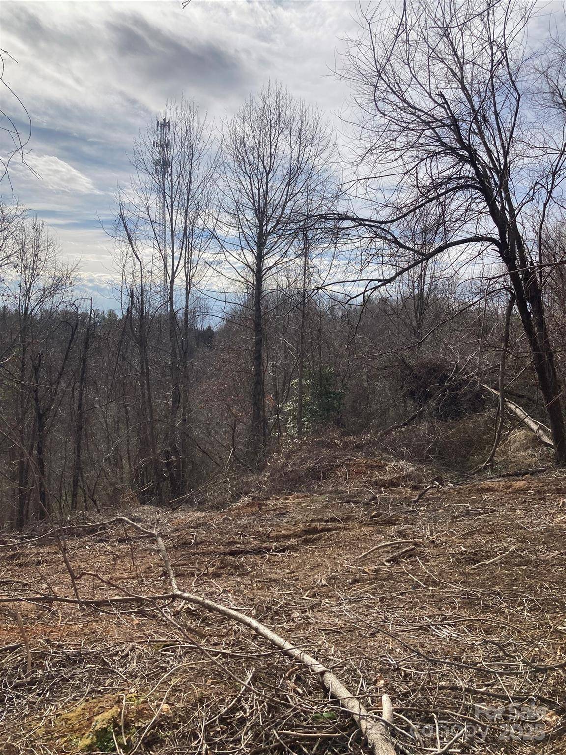 1638 Continental Divide RD #1, Flat Rock, NC 28731