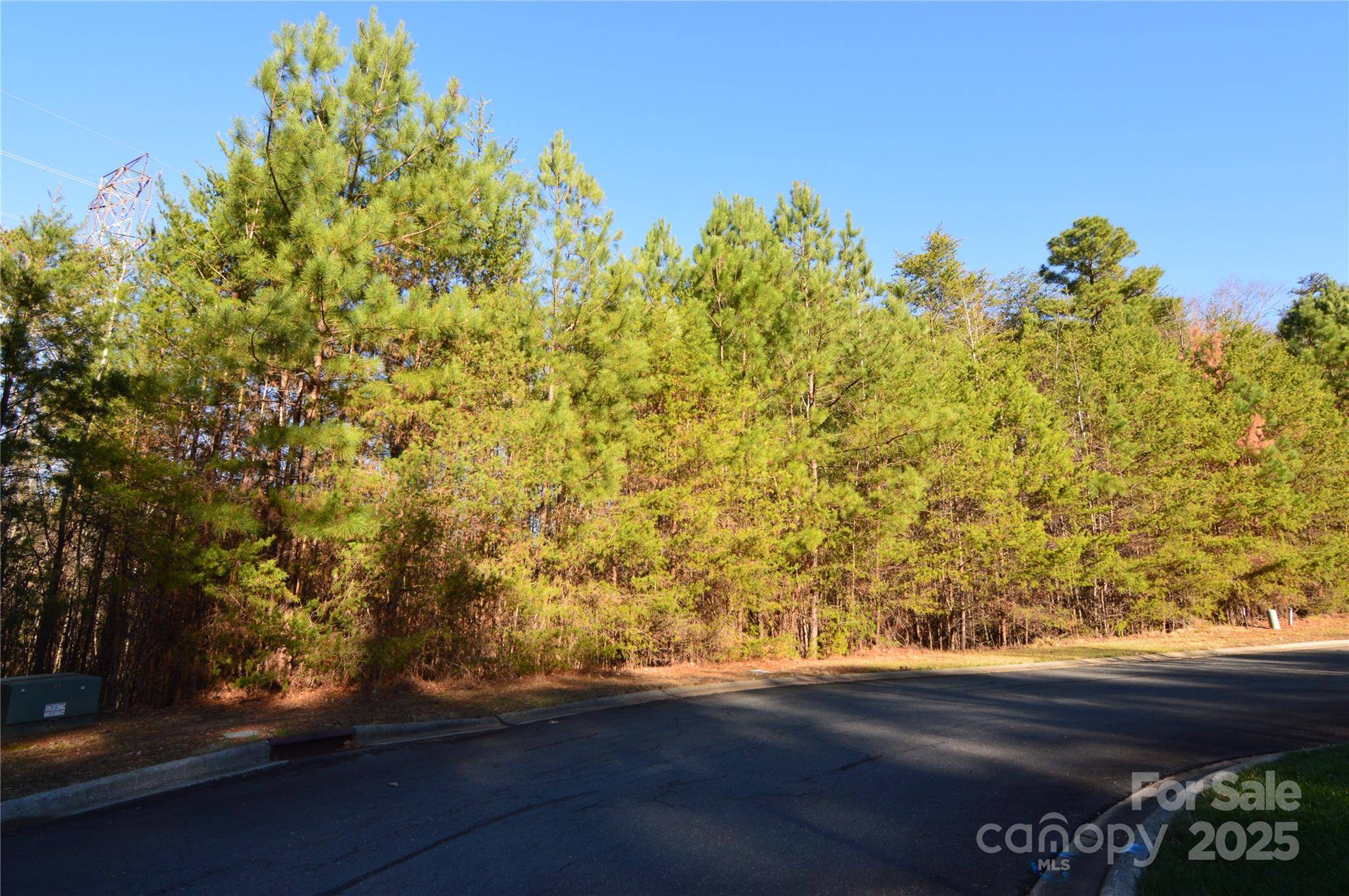 5036 Hermitage CT #211, Belmont, NC 28012