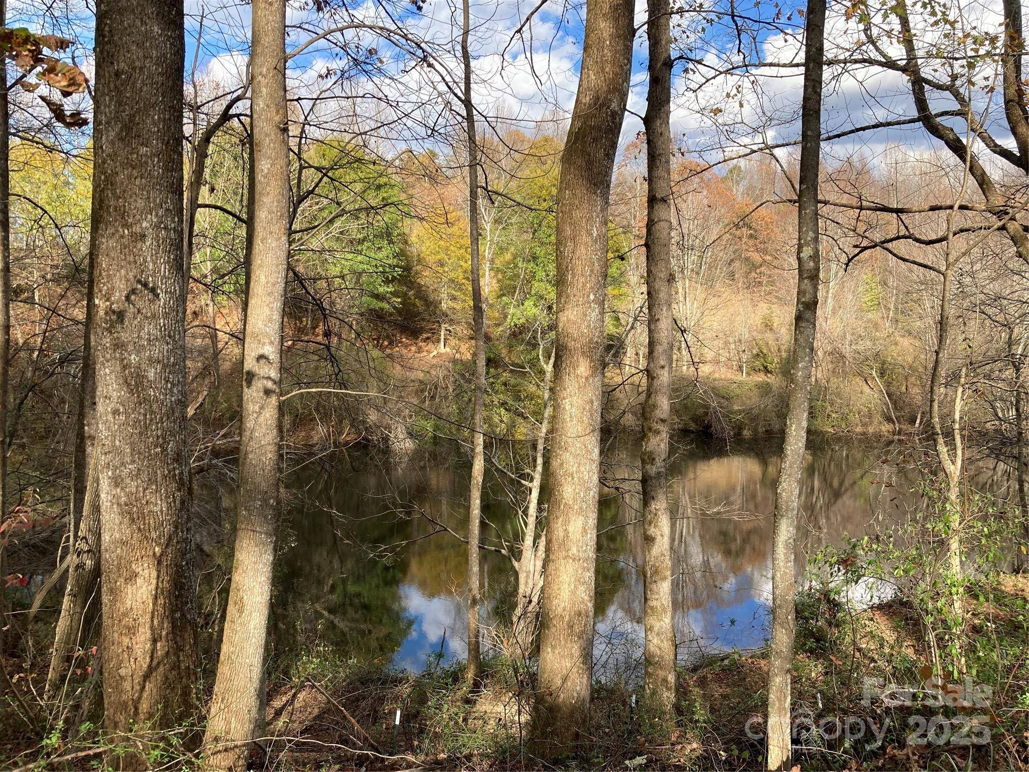 1638 Continental Divide DR #2, Flat Rock, NC 28731