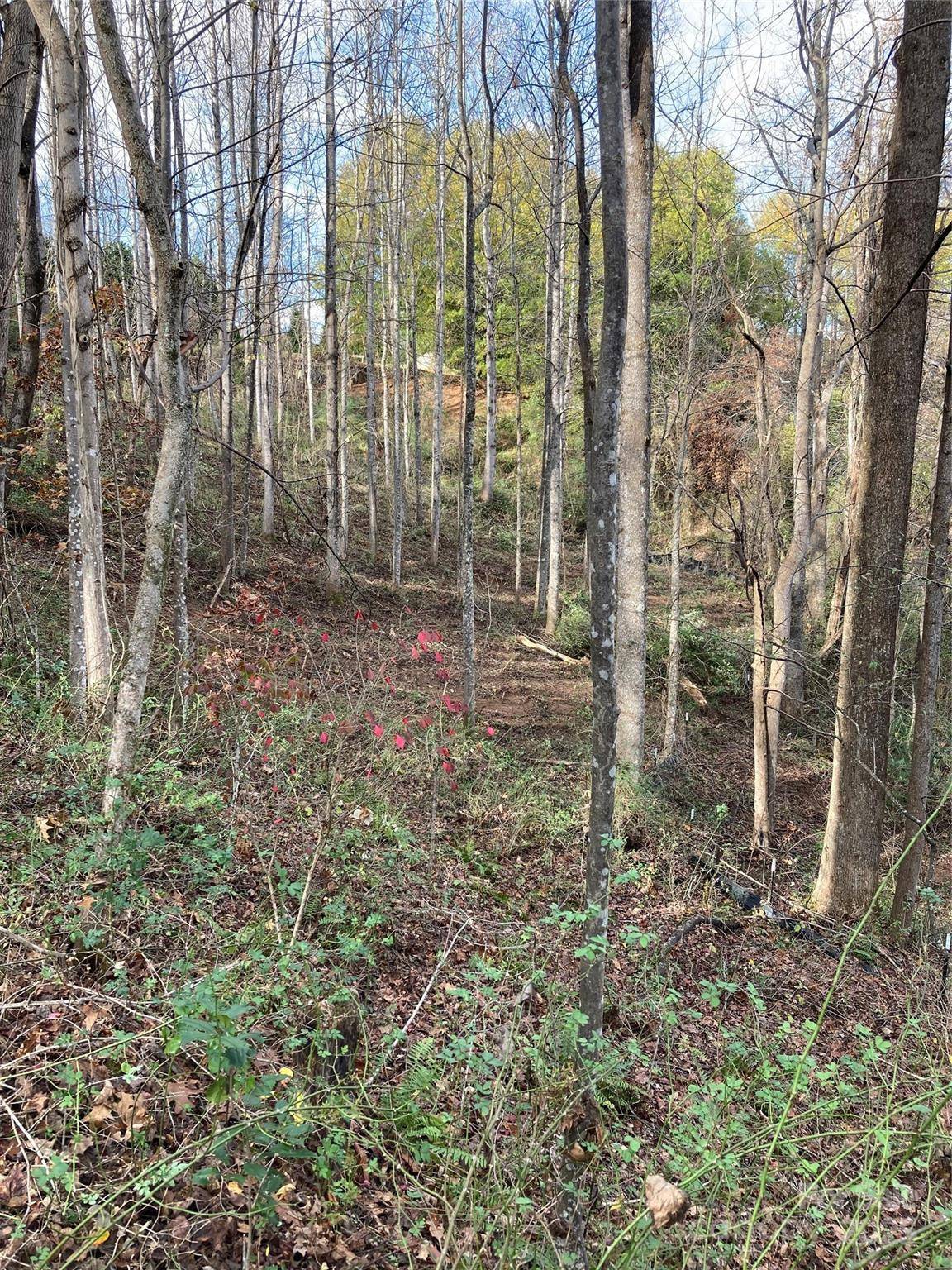 1638 Continental Divide DR #2, Flat Rock, NC 28731