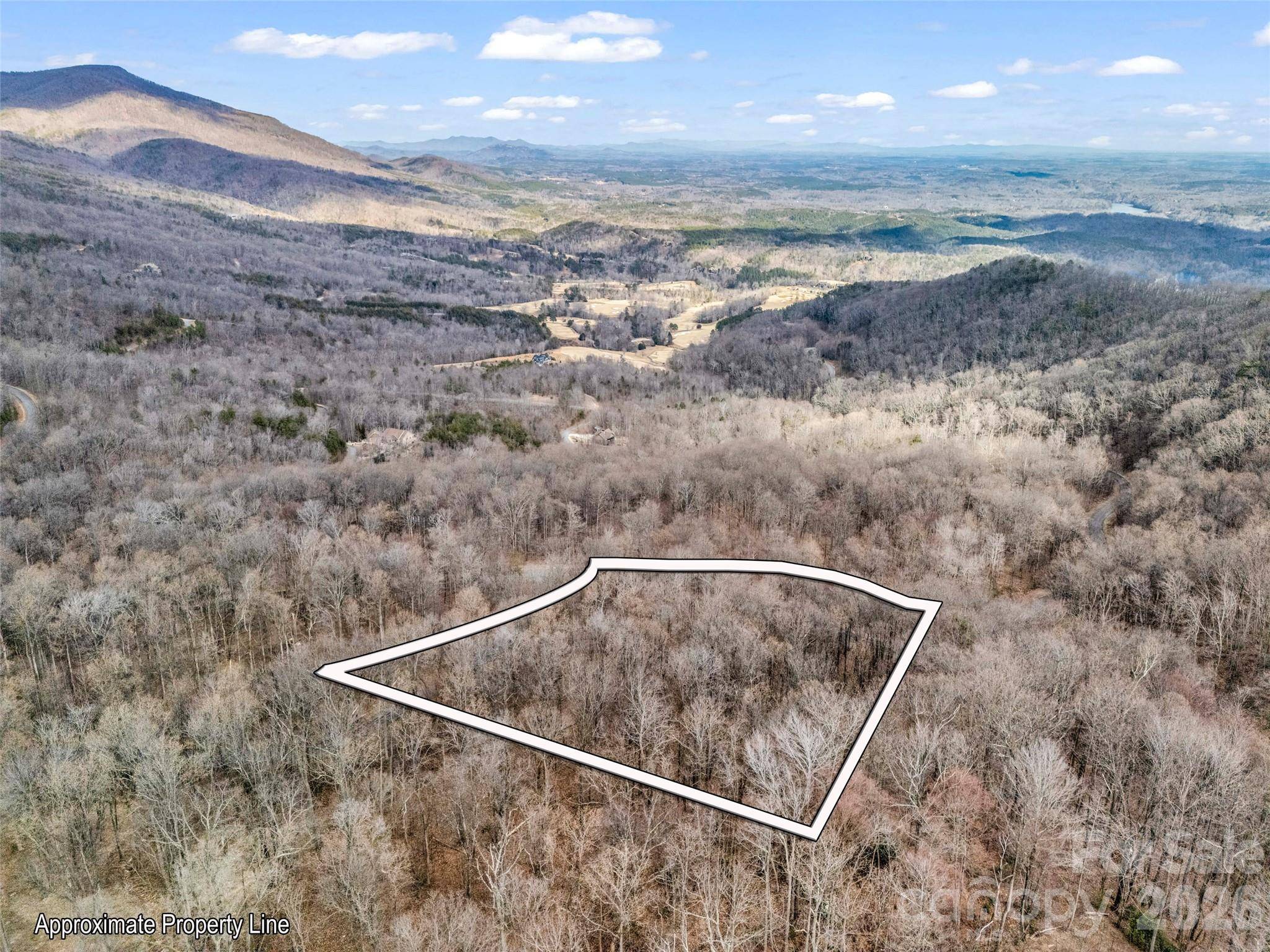 2128 Harm Creek LOOP, Mill Spring, NC 28756