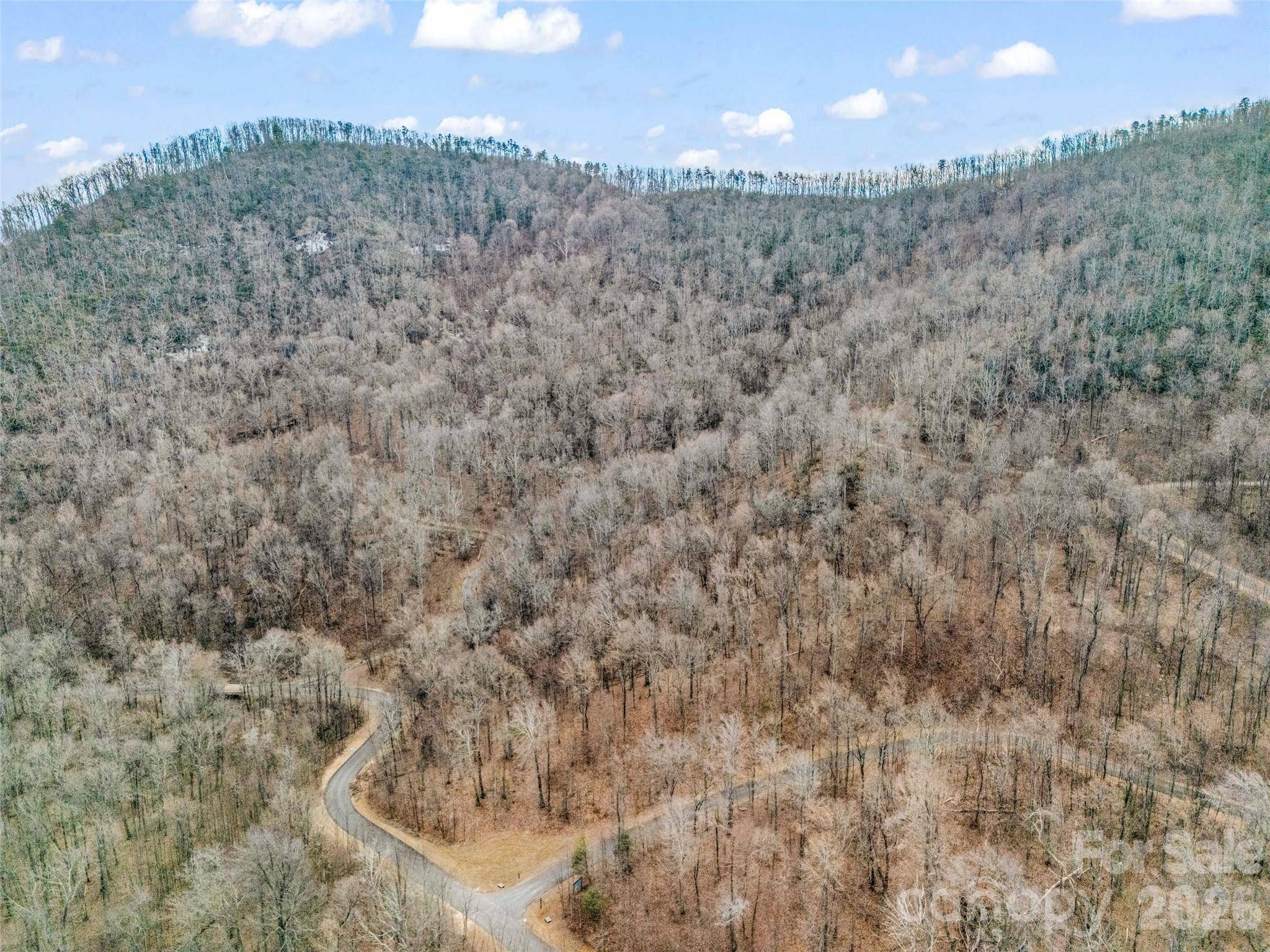 2128 Harm Creek LOOP, Mill Spring, NC 28756