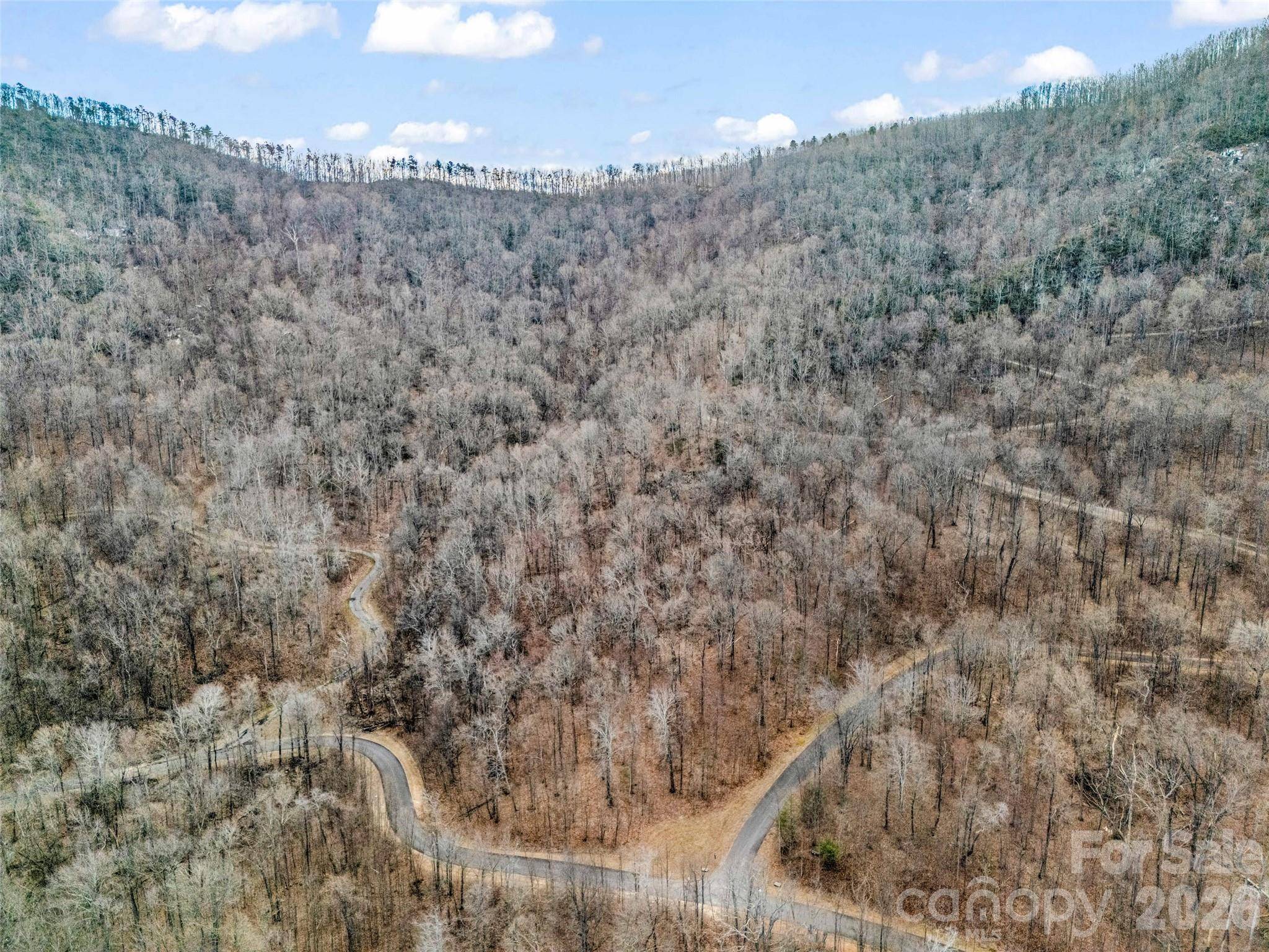 2128 Harm Creek LOOP, Mill Spring, NC 28756