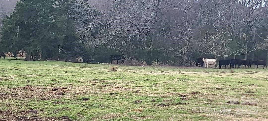TBD Willie Usher RD, Lancaster, SC 29720