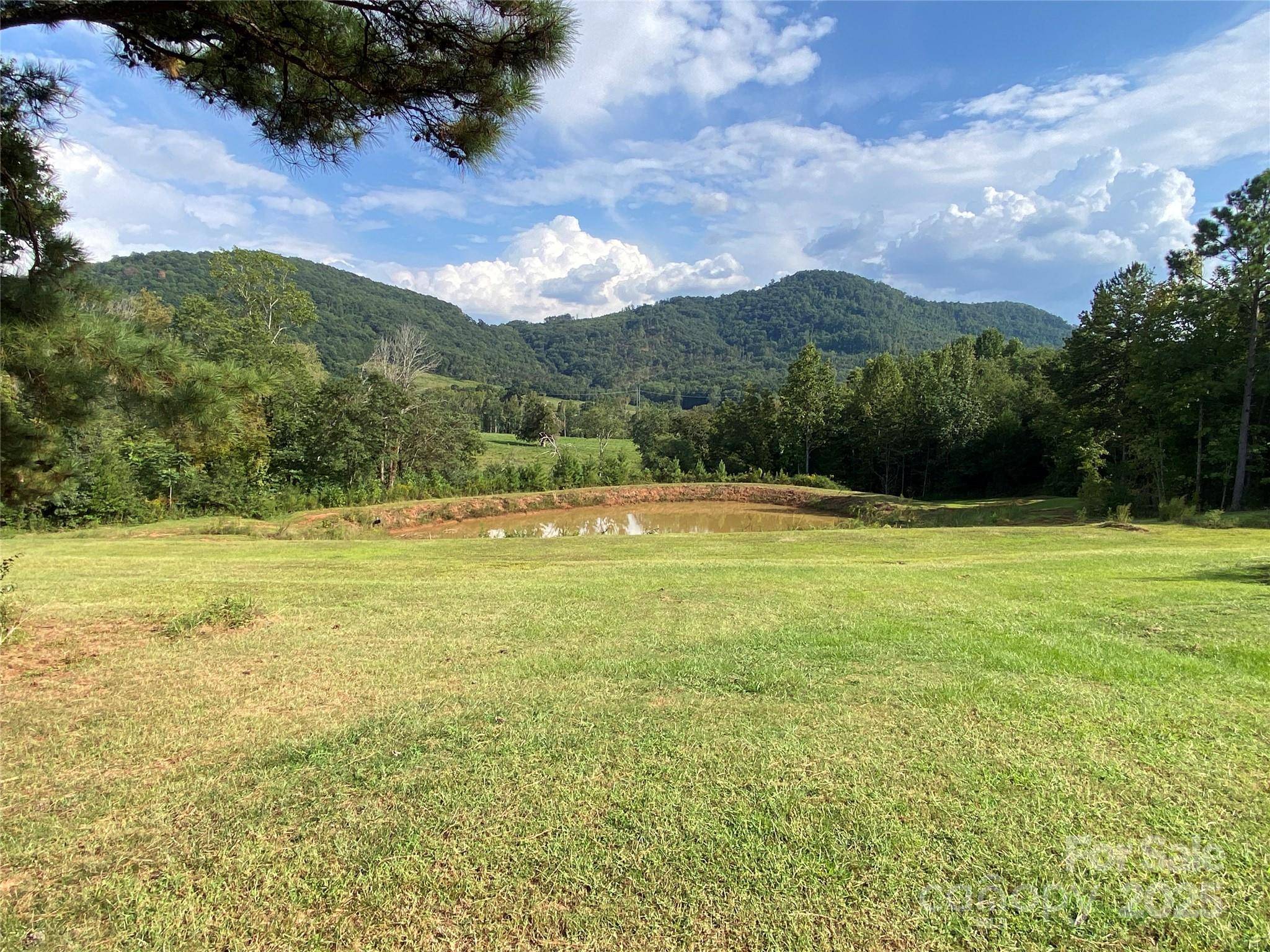 1180 Calton RD, Bostic, NC 28018
