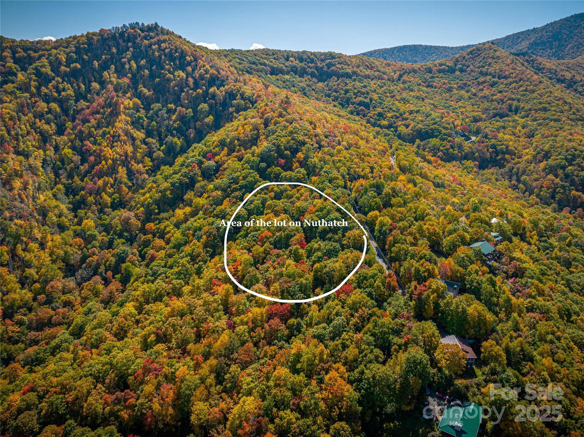202 Nuthatch LN #202 & 203, Maggie Valley, NC 28751