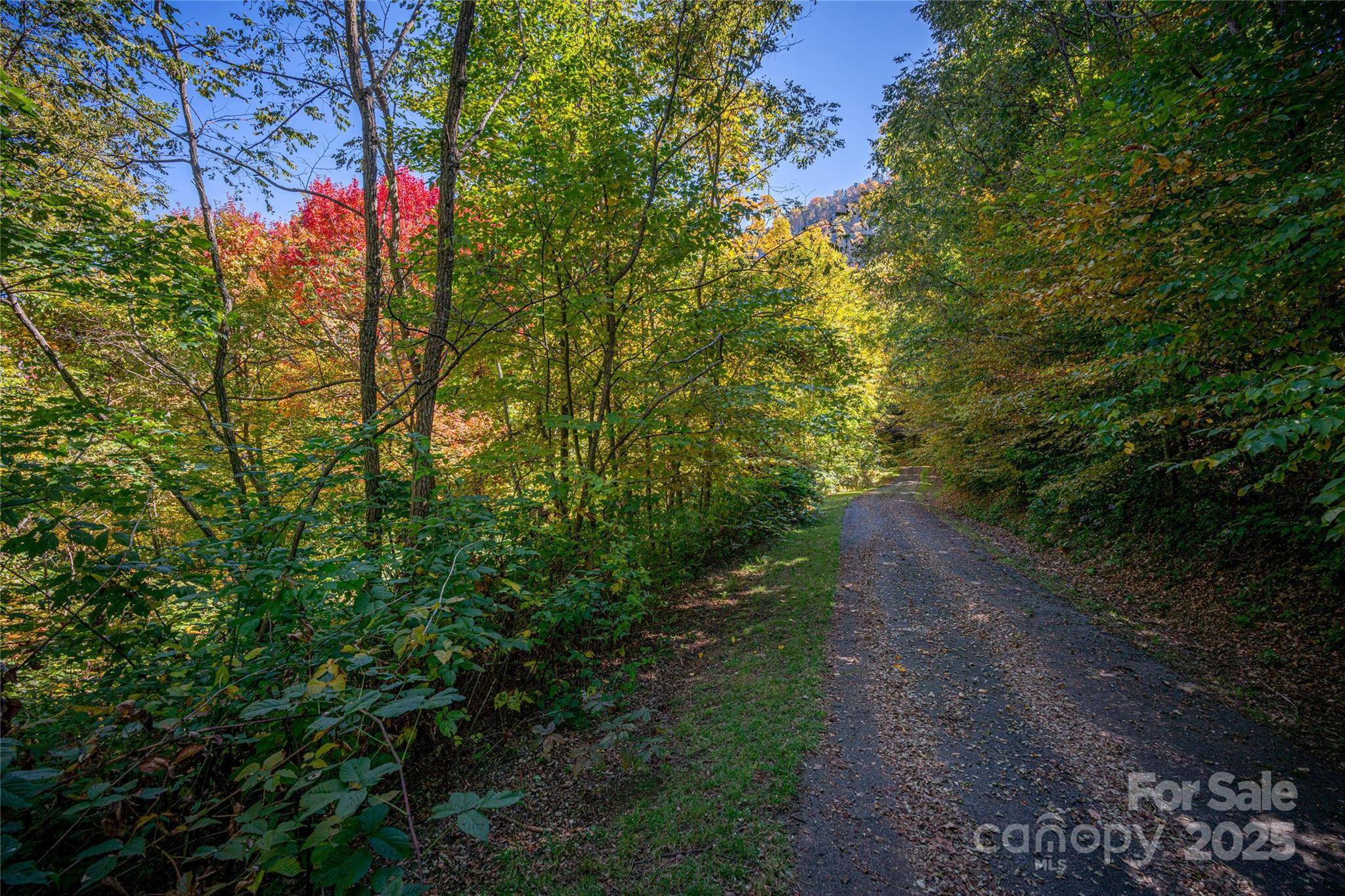 202 Nuthatch LN #202 & 203, Maggie Valley, NC 28751