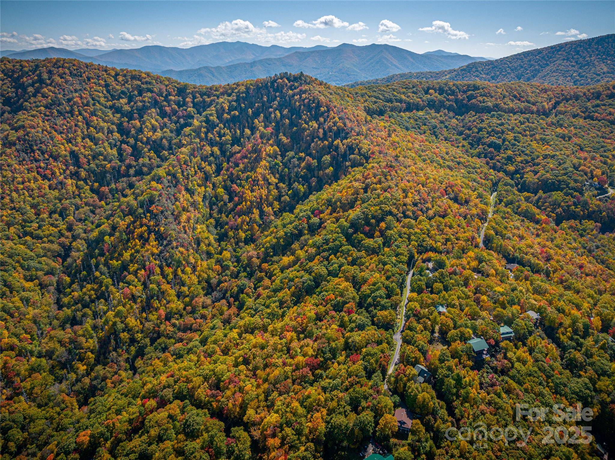 202 Nuthatch LN #202 & 203, Maggie Valley, NC 28751