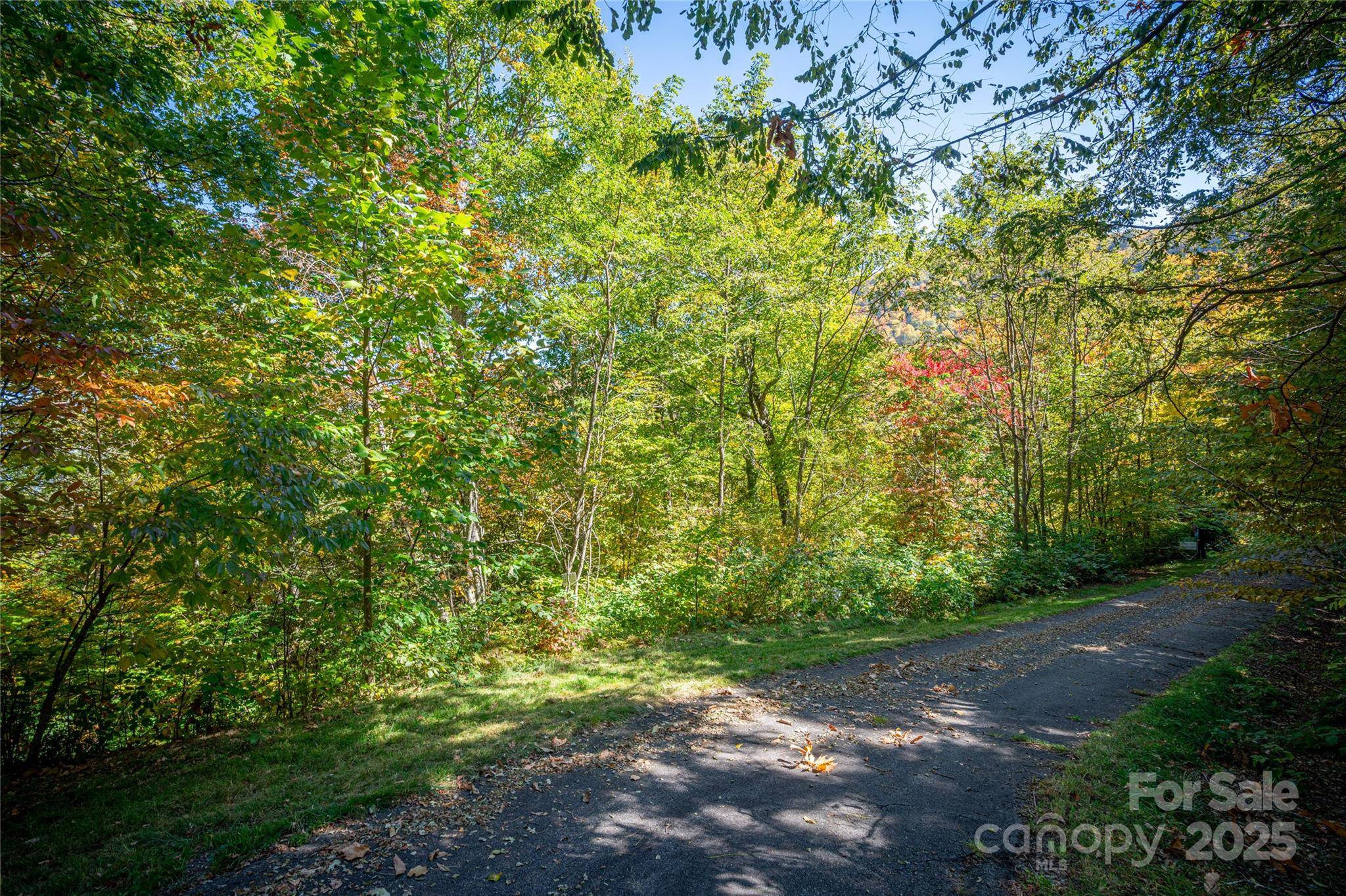 202 Nuthatch LN #202 & 203, Maggie Valley, NC 28751