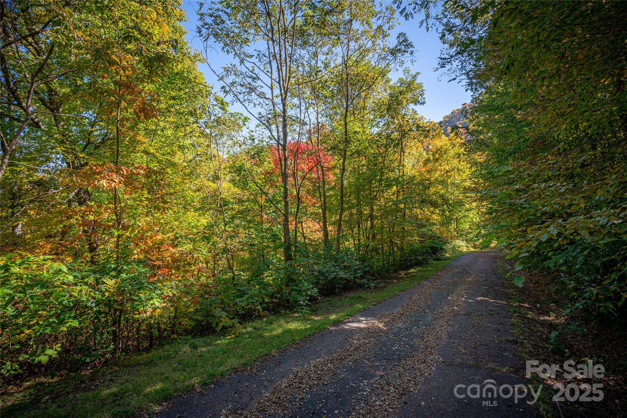 202 Nuthatch LN #202 & 203, Maggie Valley, NC 28751