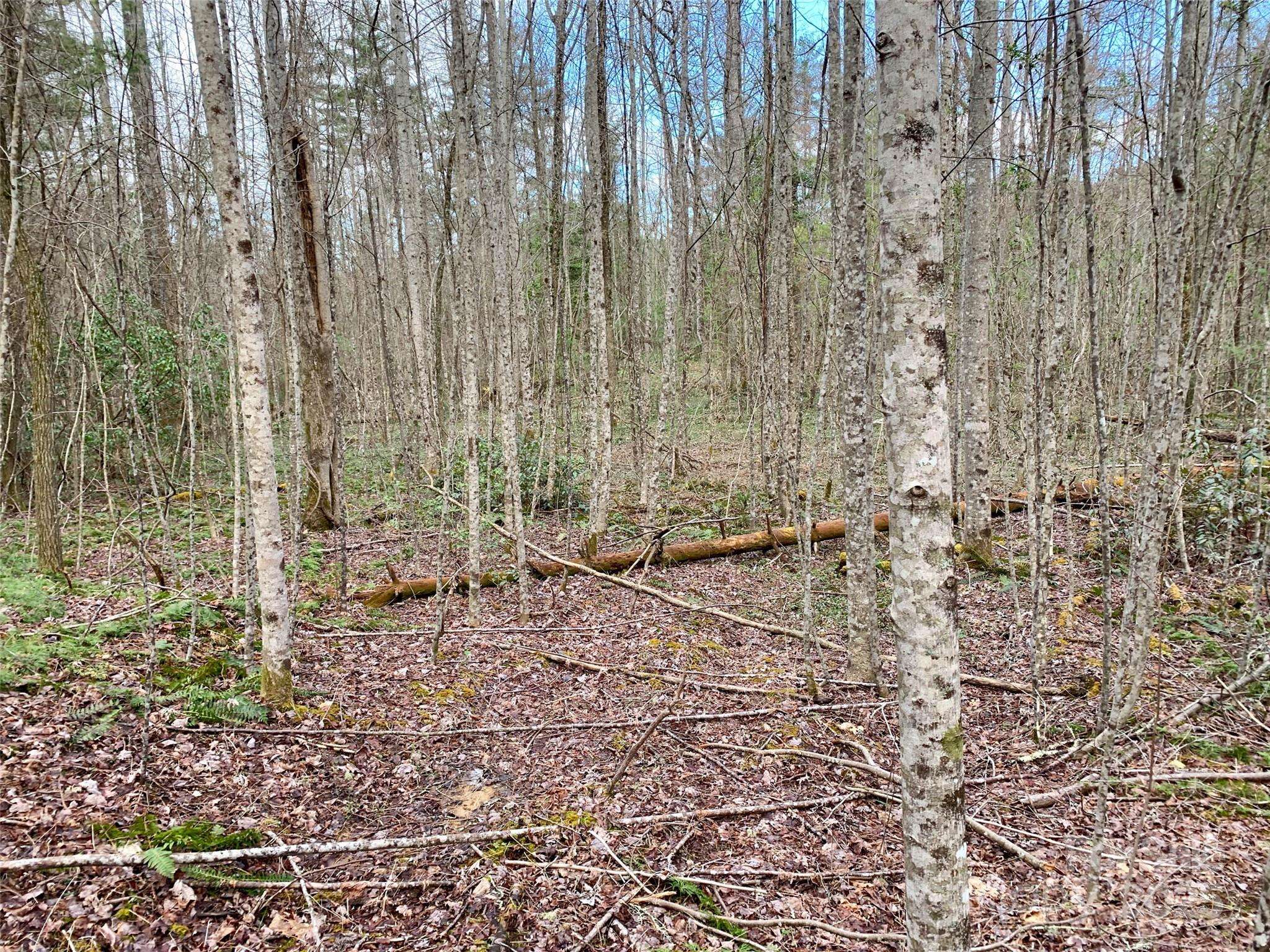 Lot 64 Peppervine CIR, Rosman, NC 28772