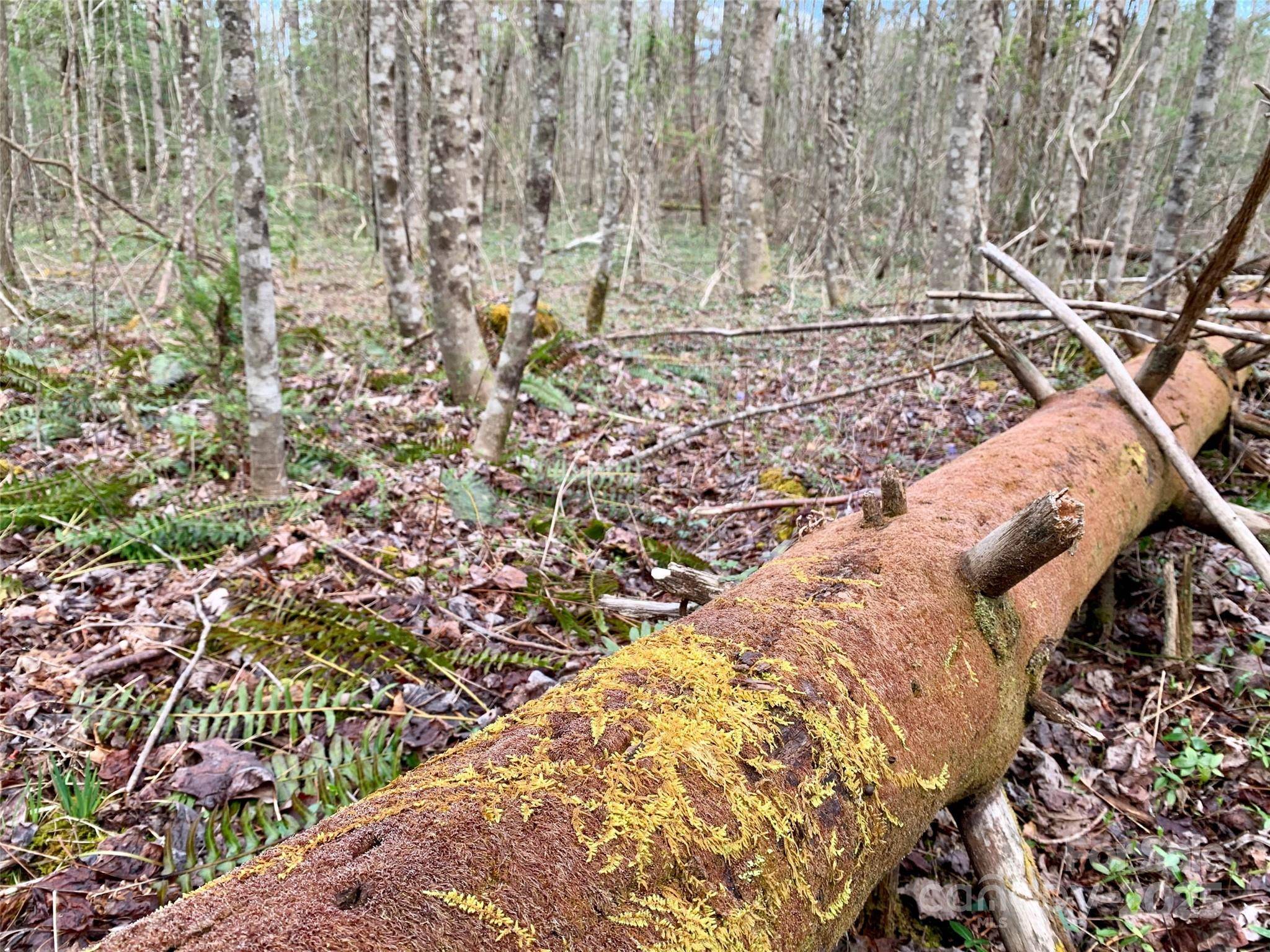 Lot 64 Peppervine CIR, Rosman, NC 28772