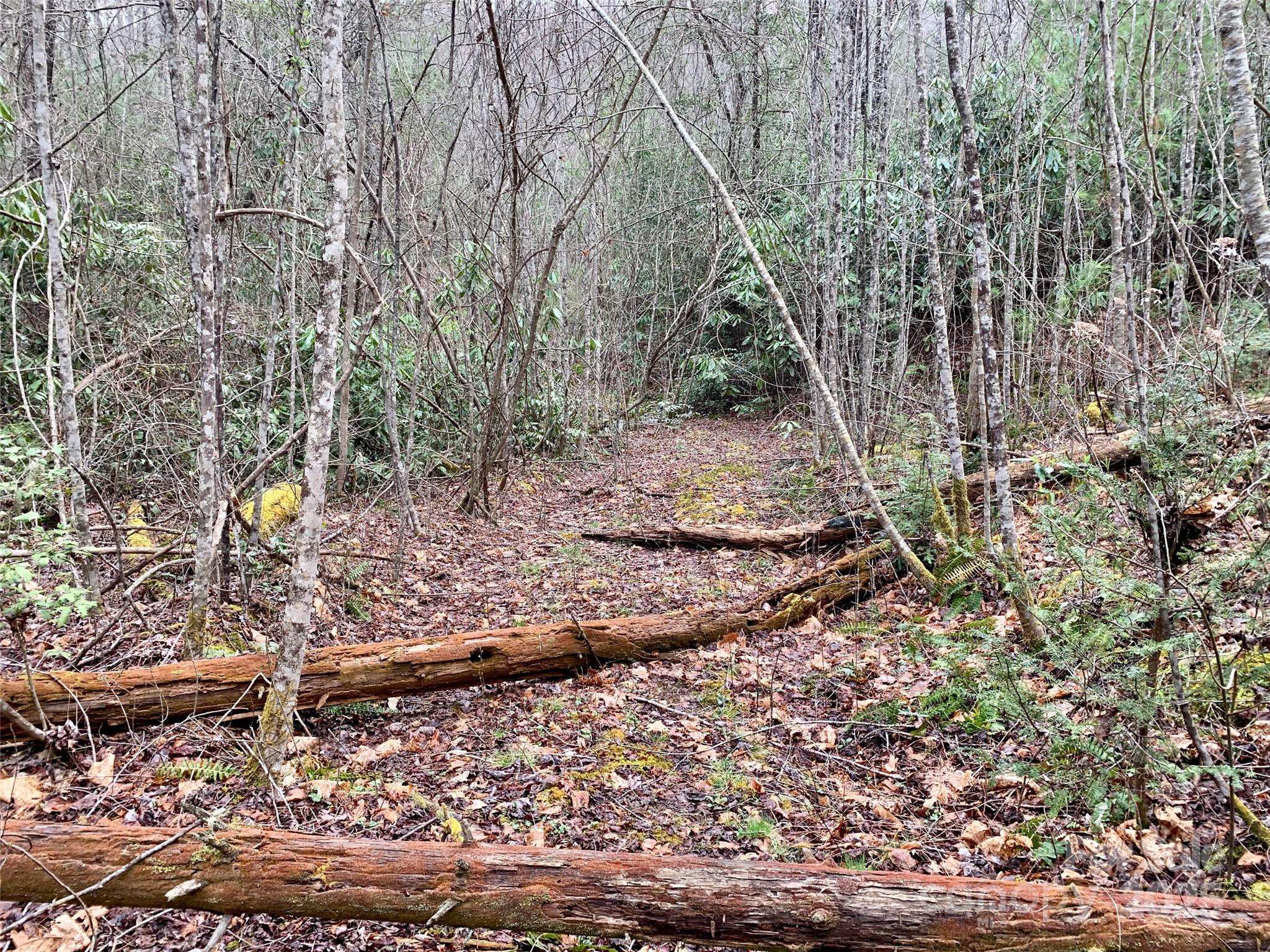 Lot 64 Peppervine CIR, Rosman, NC 28772