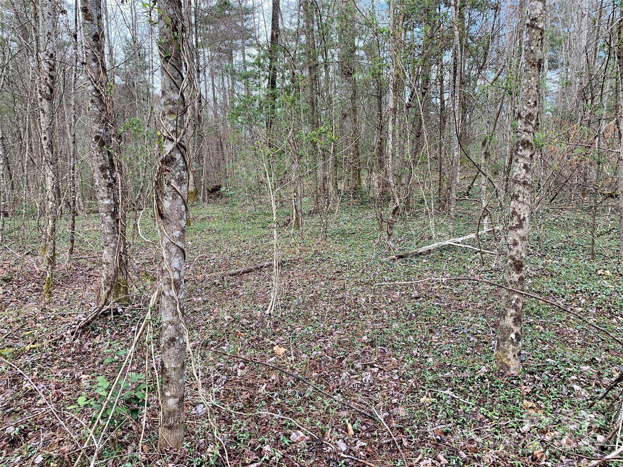 Lot 64 Peppervine CIR, Rosman, NC 28772