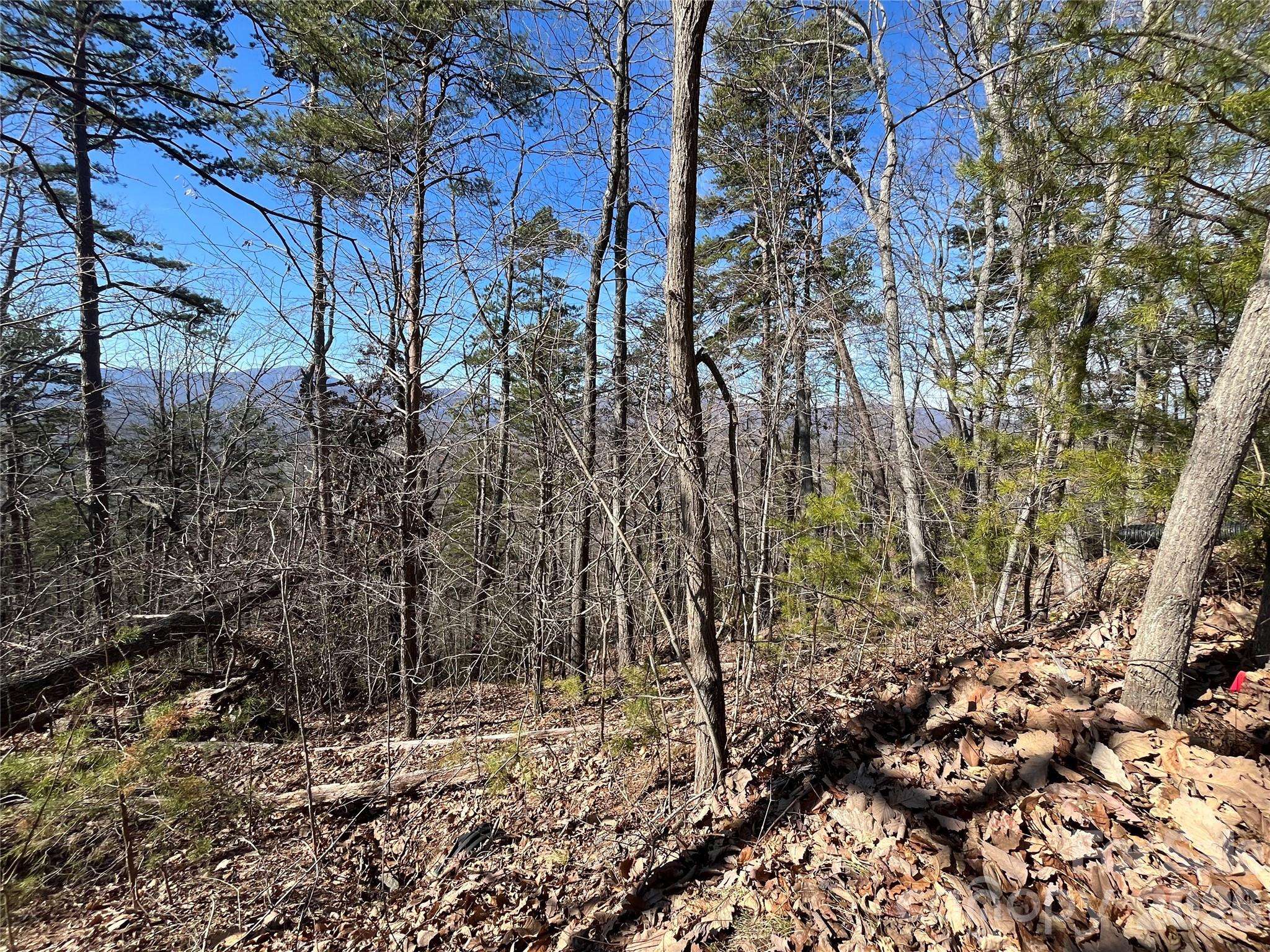 0 Bills Mountain TRL #7, Lake Lure, NC 28746