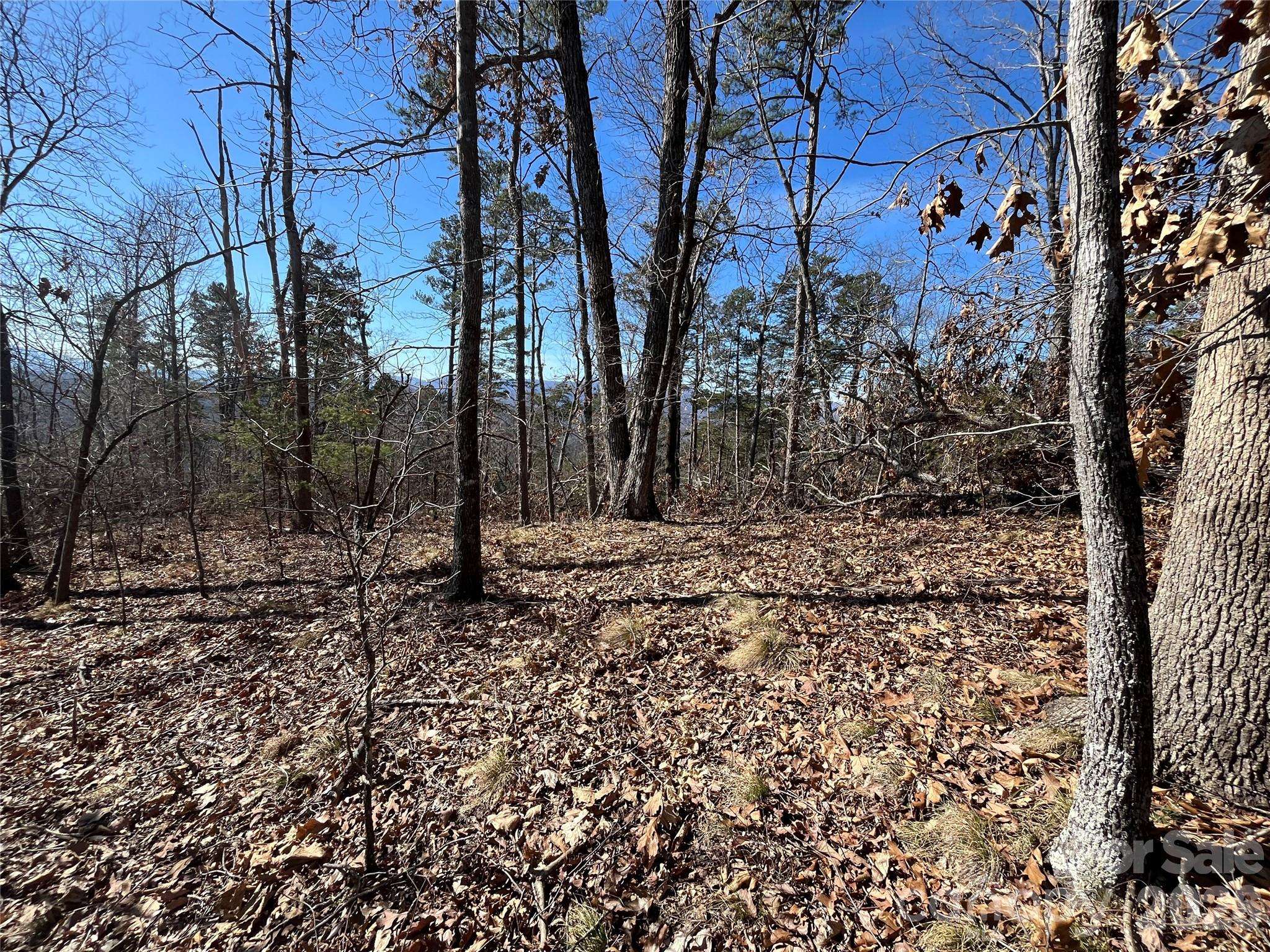 0 Bills Mountain TRL #7, Lake Lure, NC 28746