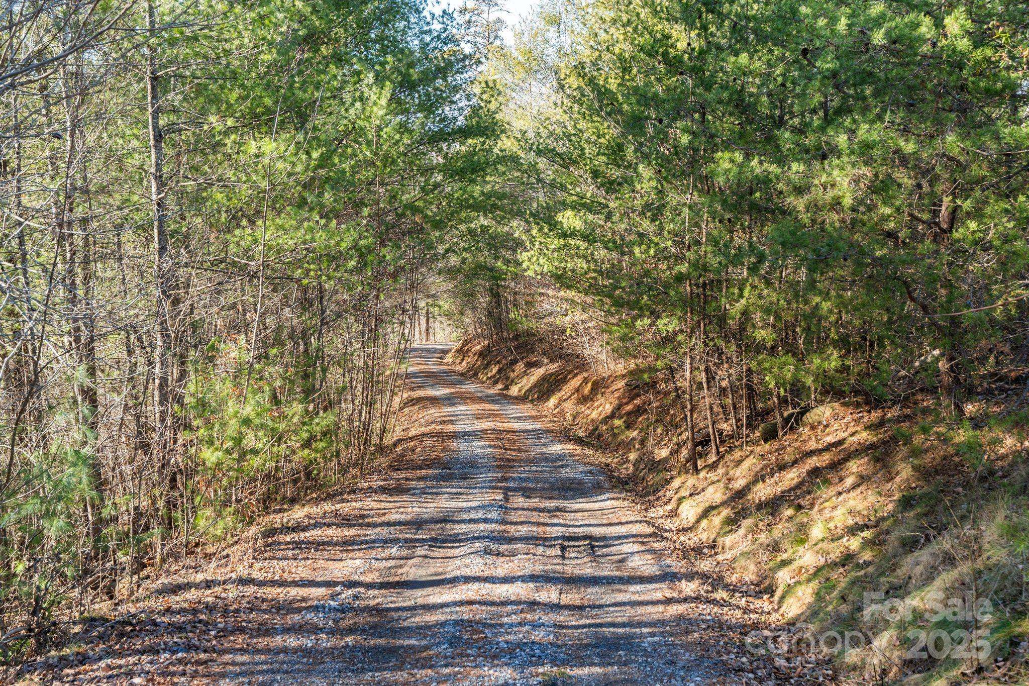 131 Ivy Bluff RD #3, Marshall, NC 28753