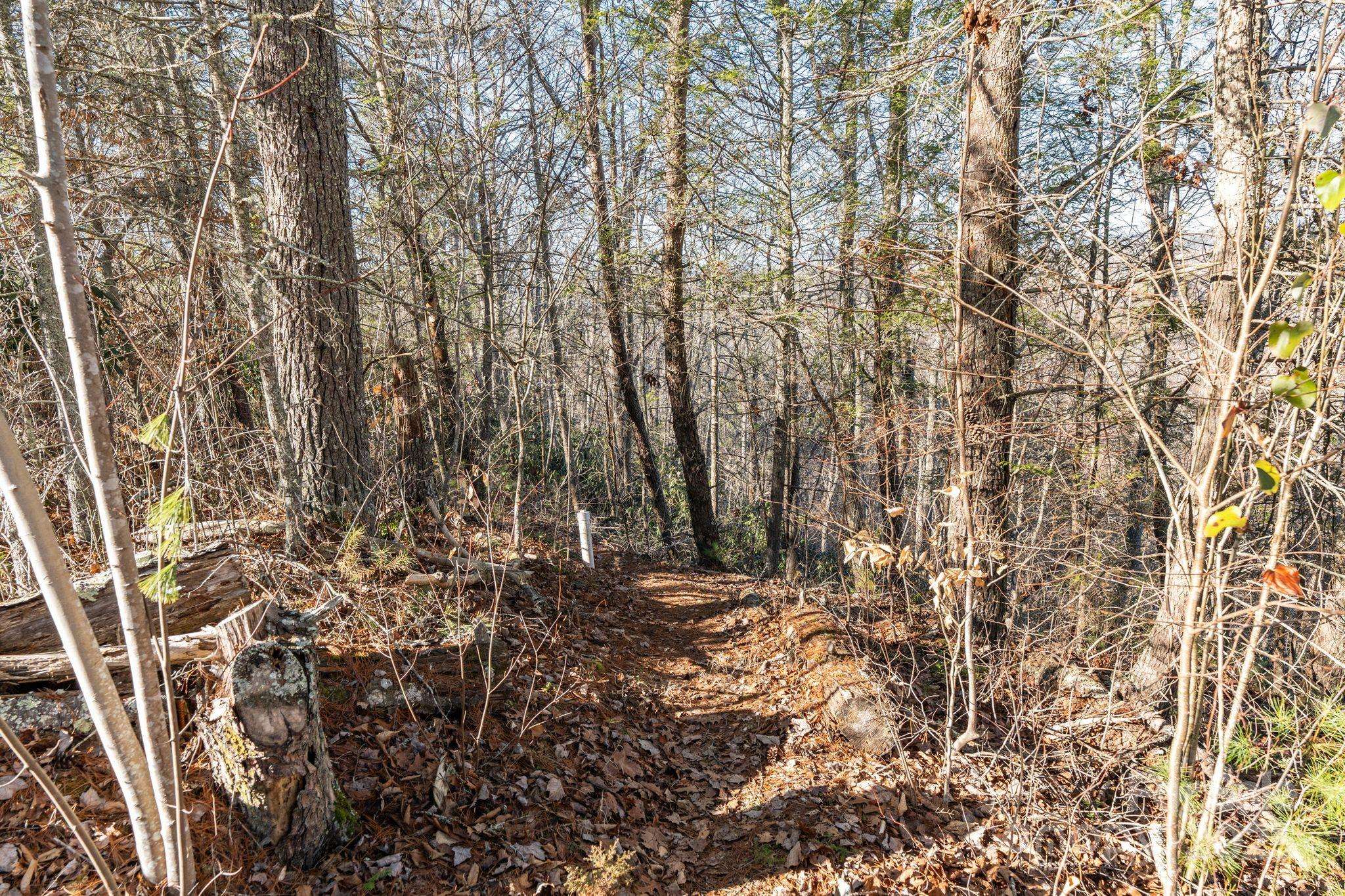 131 Ivy Bluff RD #3, Marshall, NC 28753